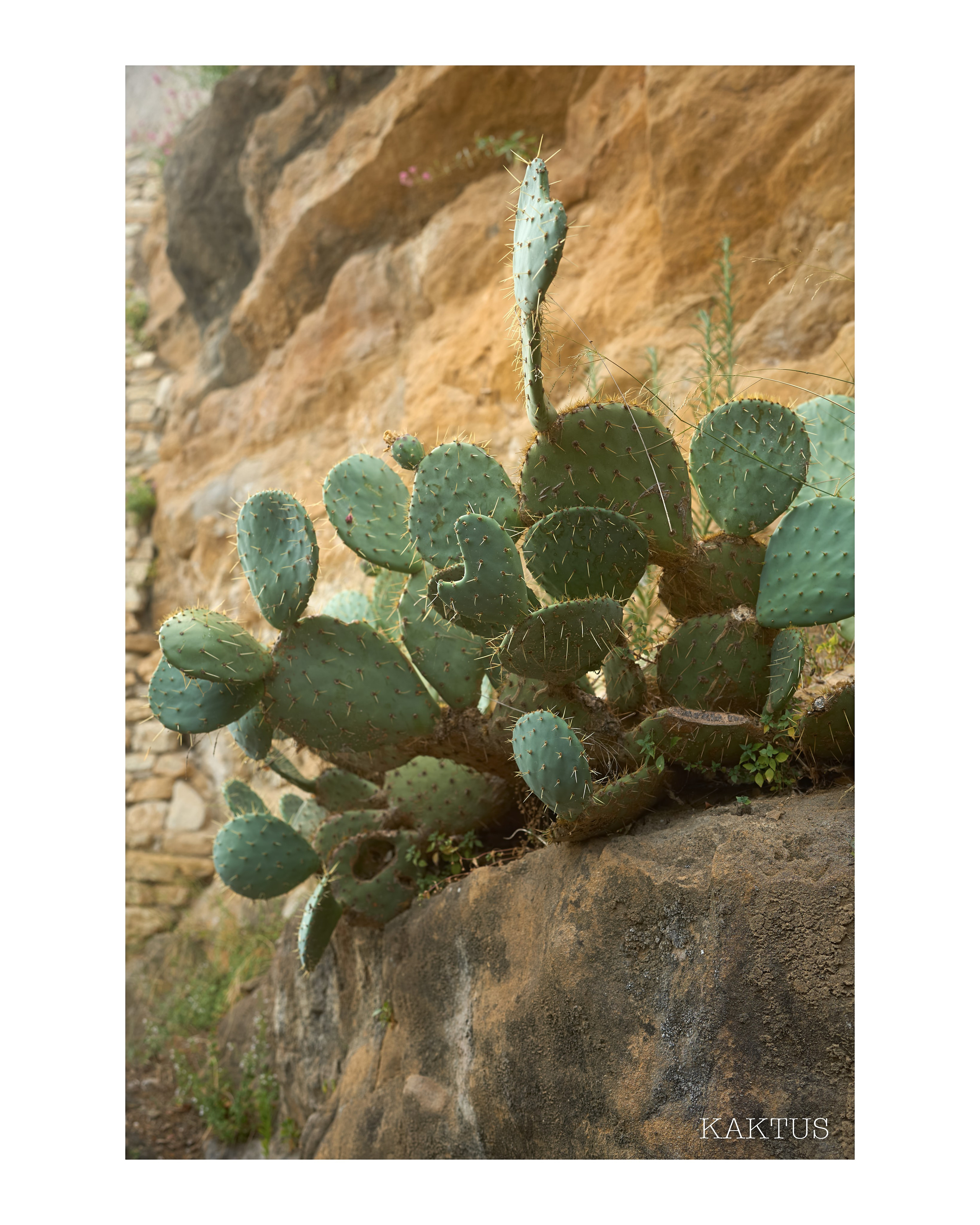 Travel. Visual artist | Fotograf | Stuttgart