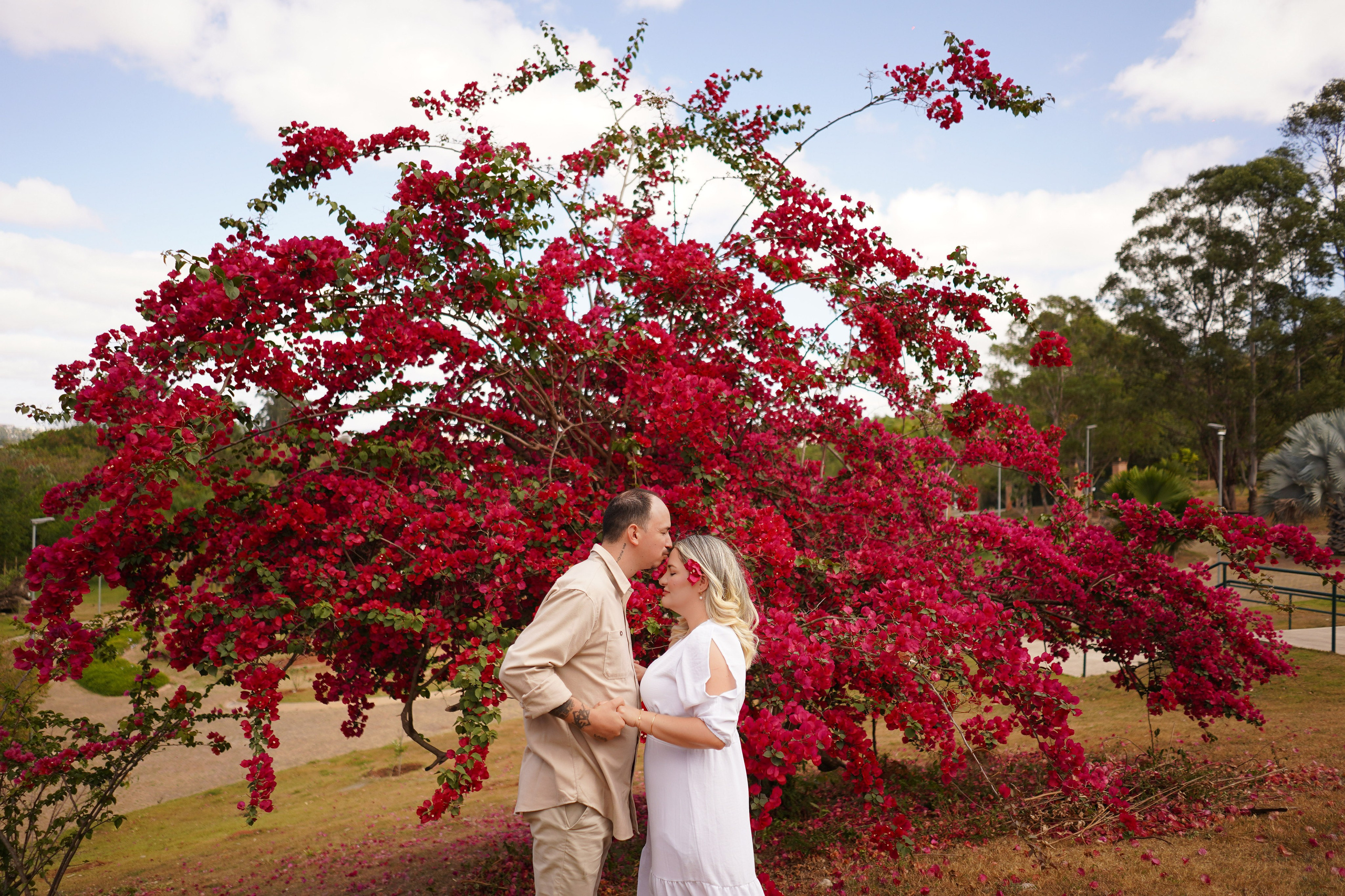 Orçamento Casamento