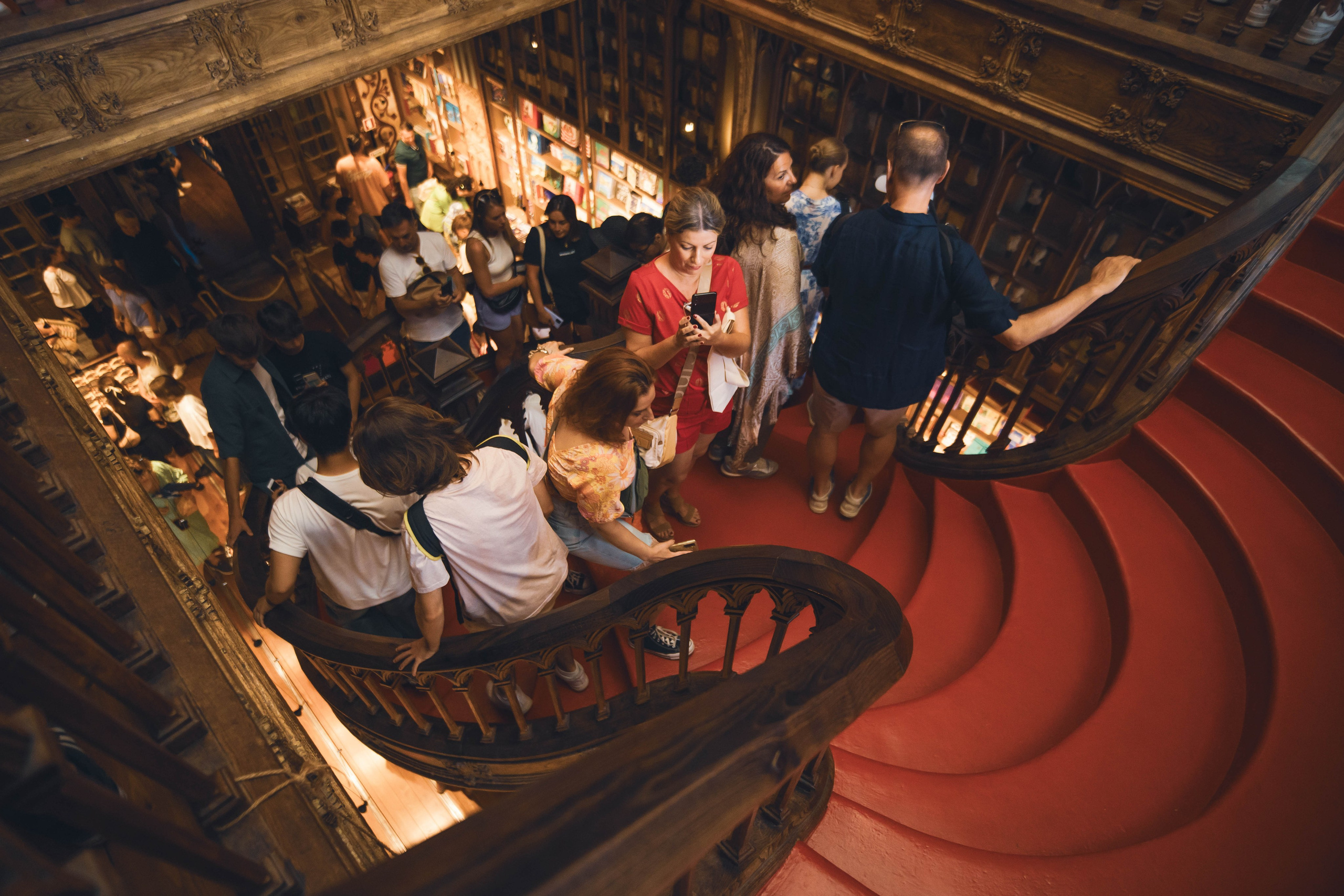 Librería Lello, Porto. Alba del Norte Studio