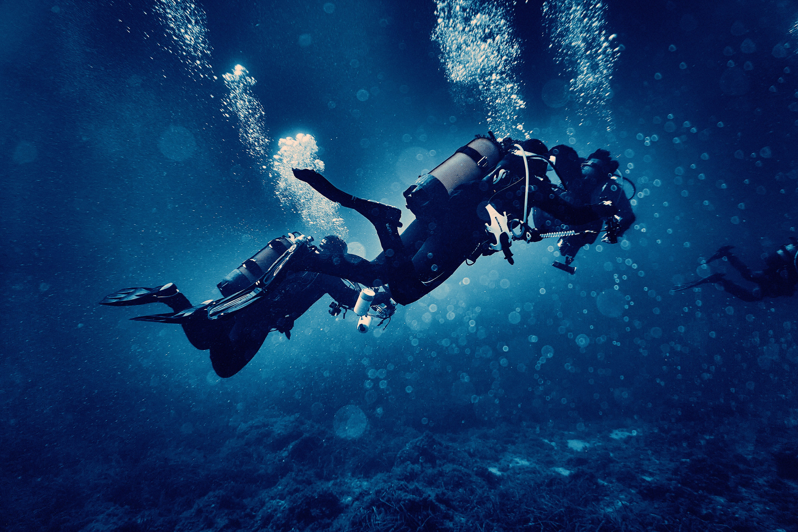 Fotograf podwodny Andriej Szypiłow. Андрей Шипилов — Фотография & Видеография