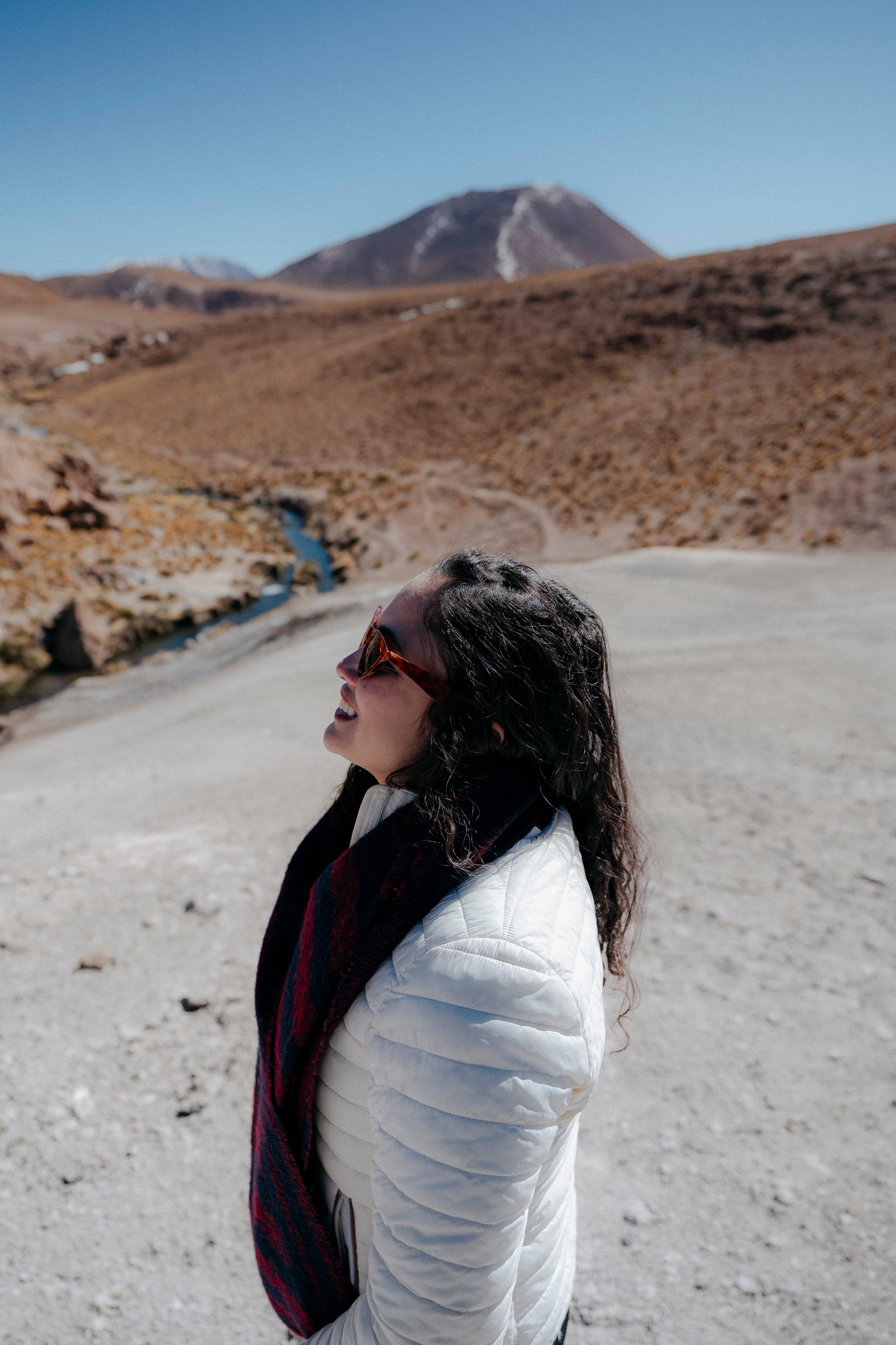 Geyser El Tatio (cobertura en tour privado). Principal