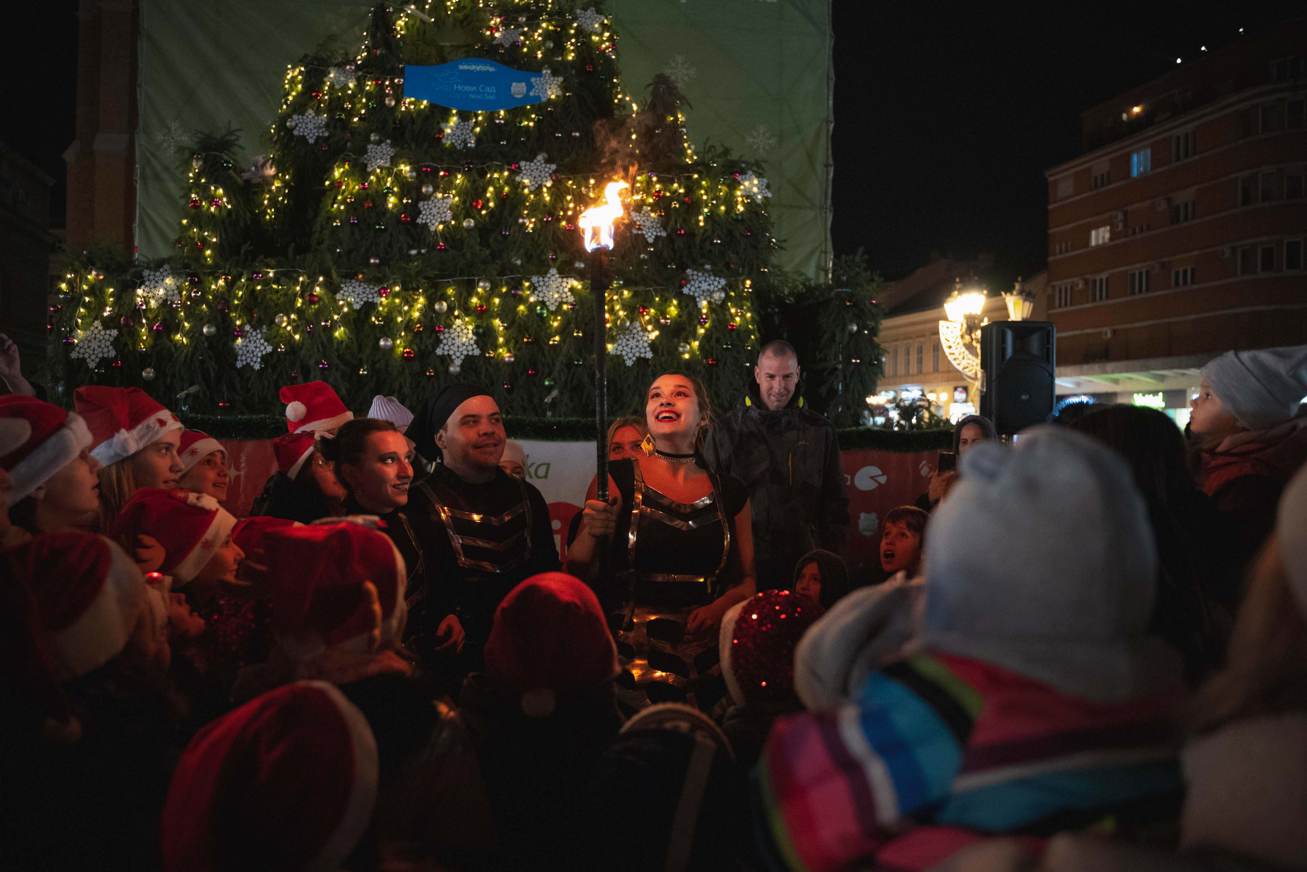 Novosadski Zimzolend. Жуков Студио