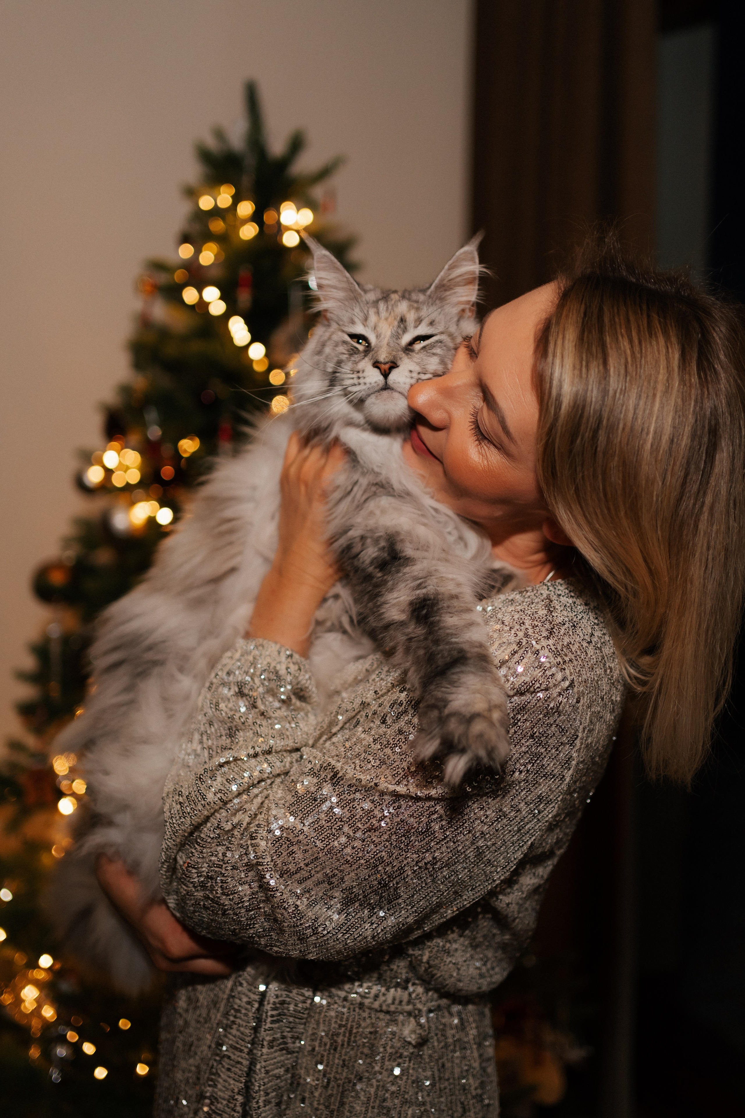 CHRISTMAS FAMILY. PHOTOGRAPHER|VIDEOGRAPHER MONTENEGRO