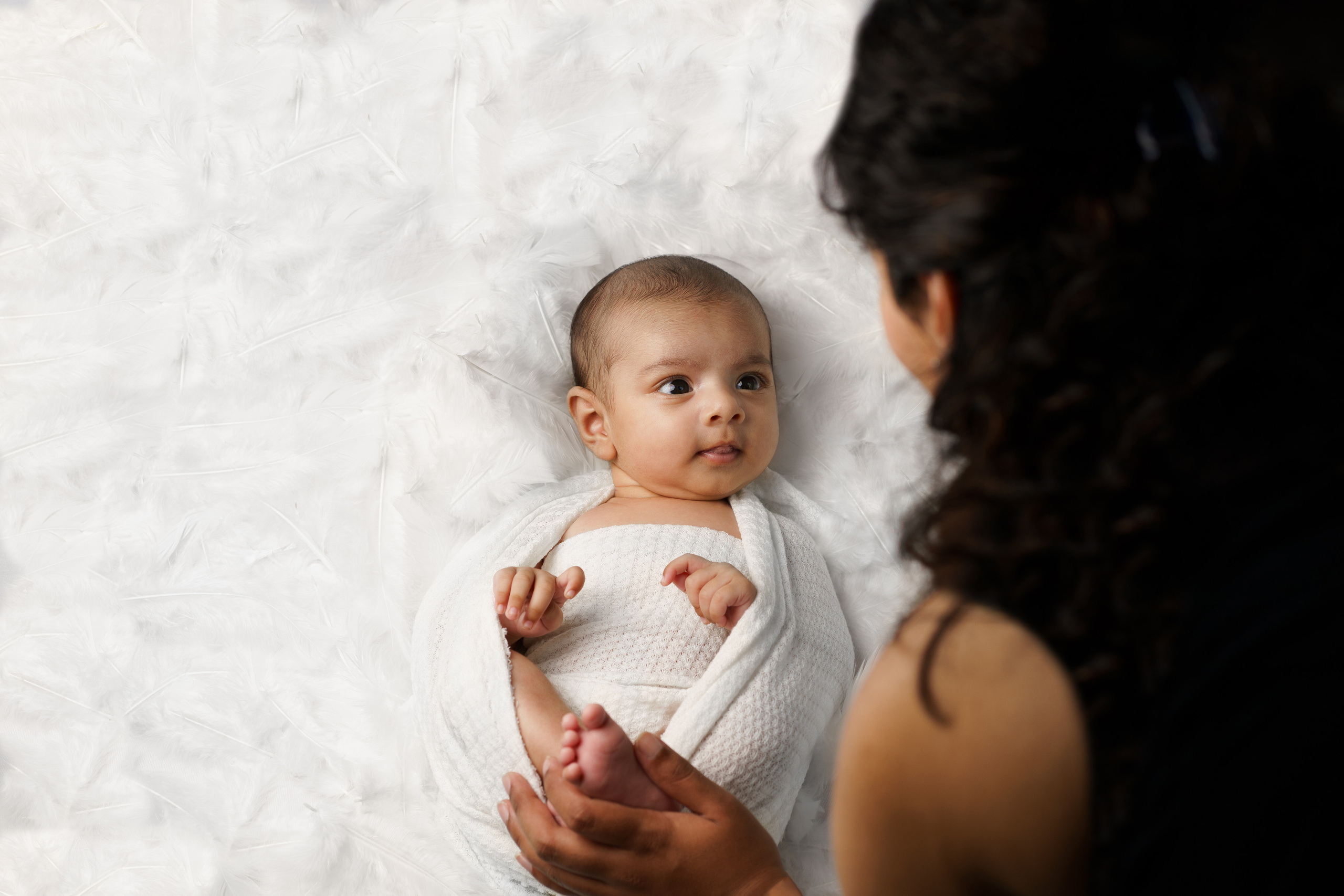 Newborn. Julia Bolgov Photography | Newborn, Family, Maternity & Milestone Photographer in Bay Area, CA