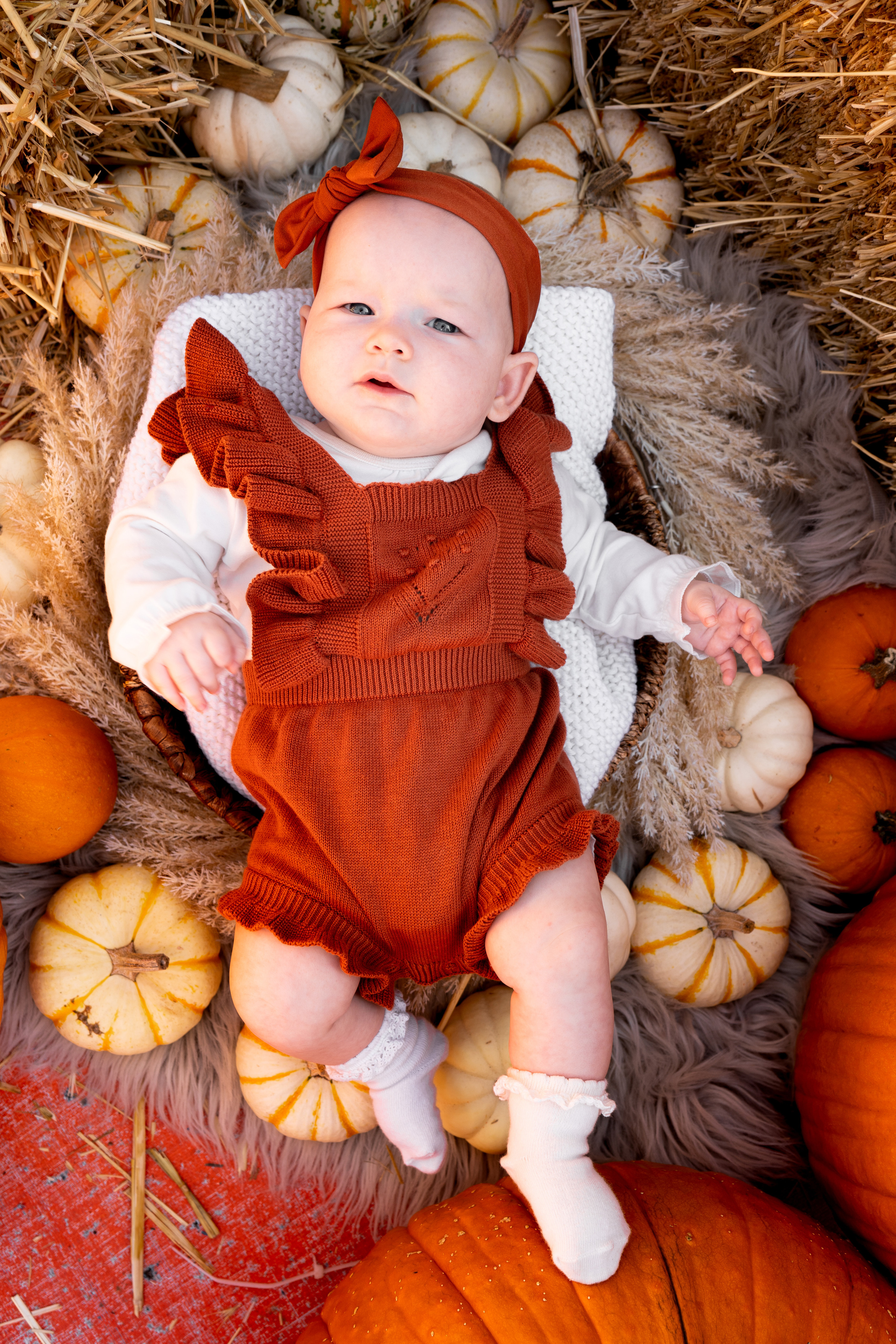 Baby Milestone. Julia Bolgov Photography | Newborn, Family, Maternity & Milestone Photographer in Bay Area, CA