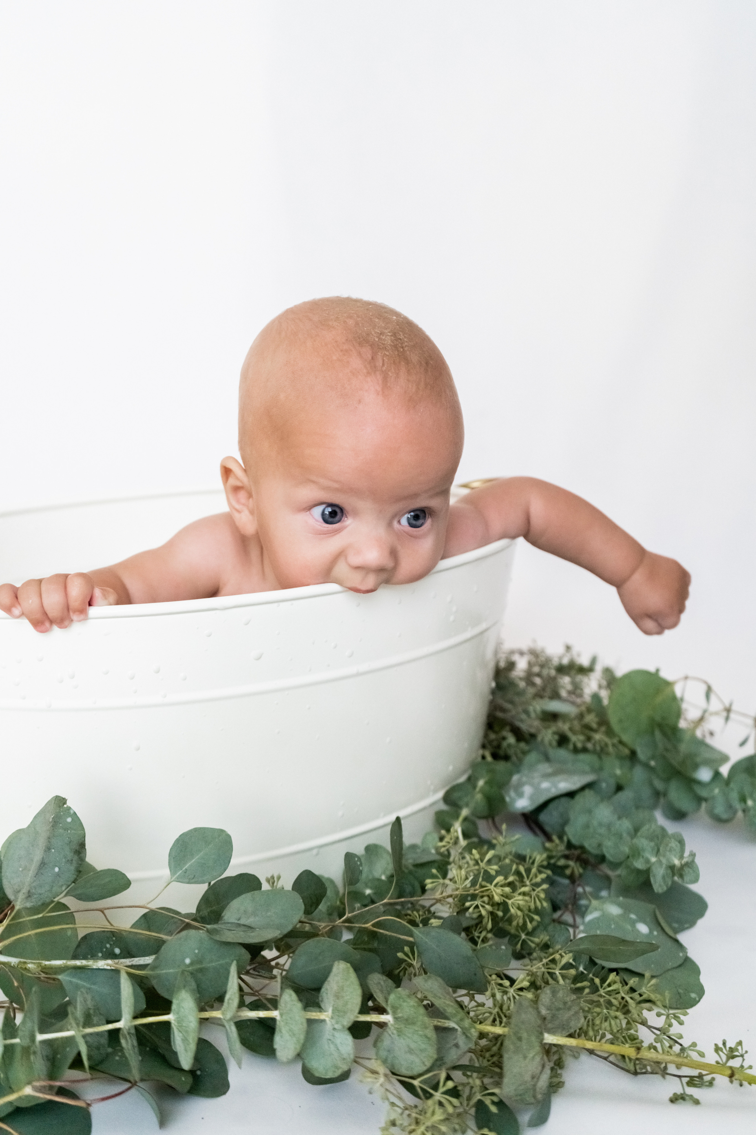 Baby Milestone. Julia Bolgov Photography | Newborn, Family, Maternity & Milestone Photographer in Bay Area, CA