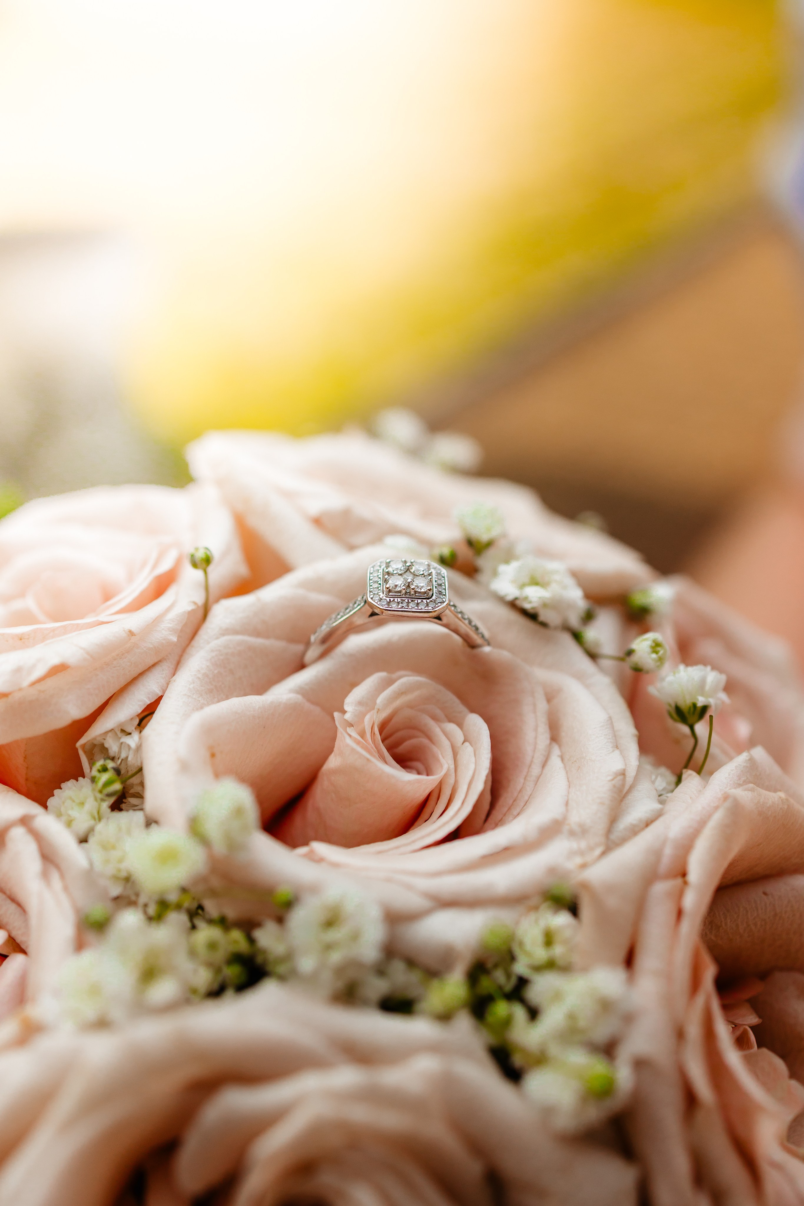 L&B. George Laslău Fotograf