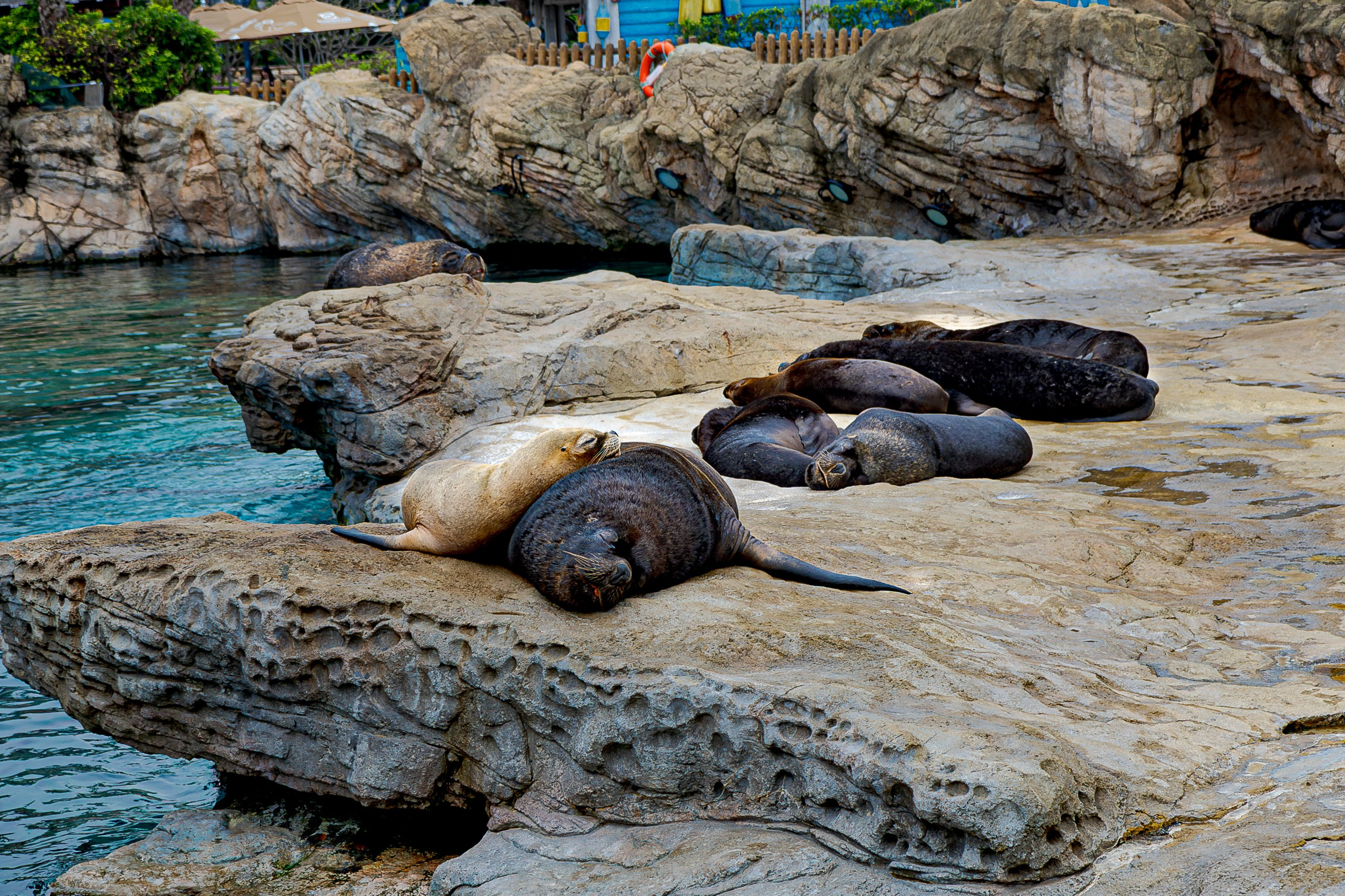 Африка вокруг нас