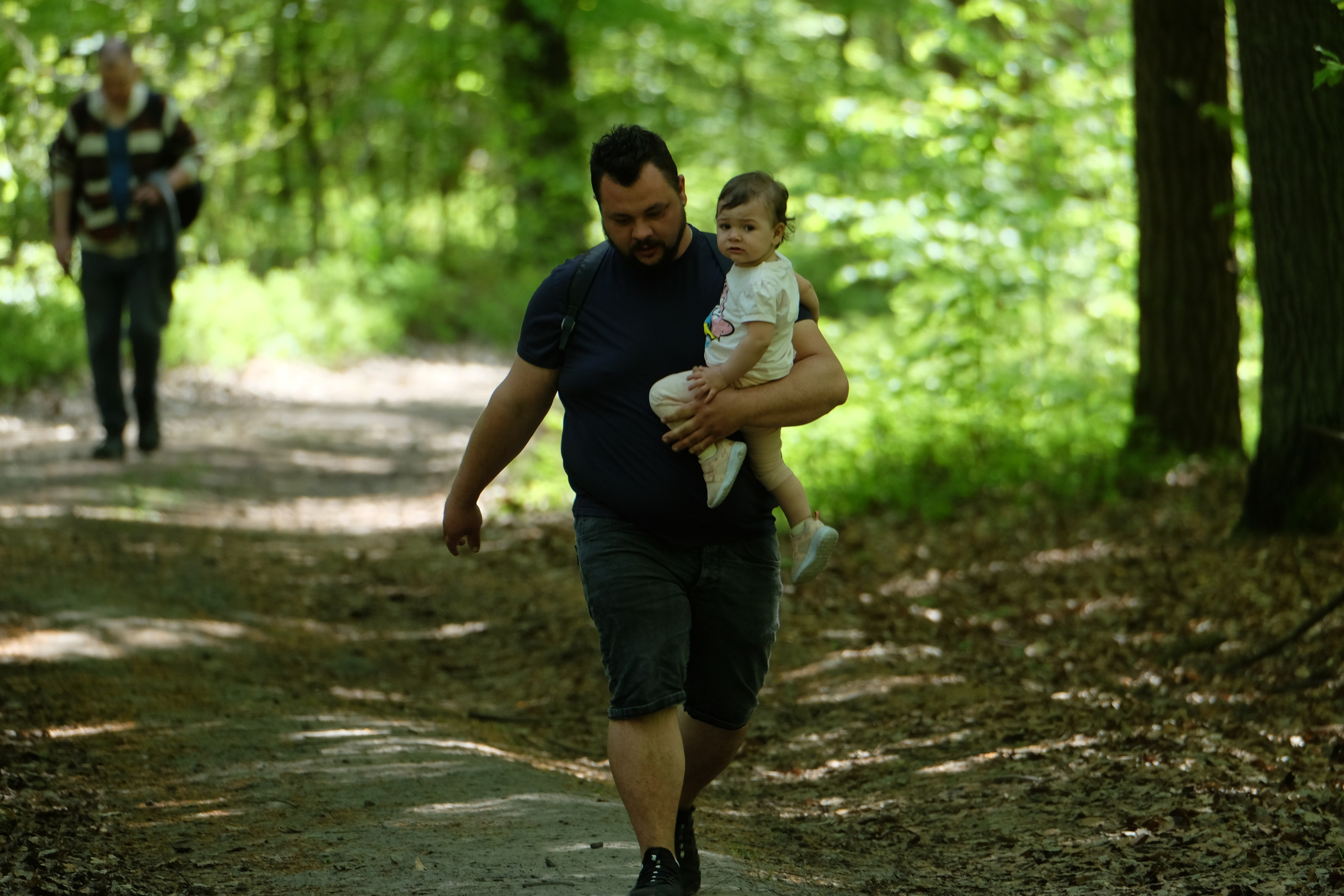 Aleksandryjska Piątka po lesie. Main