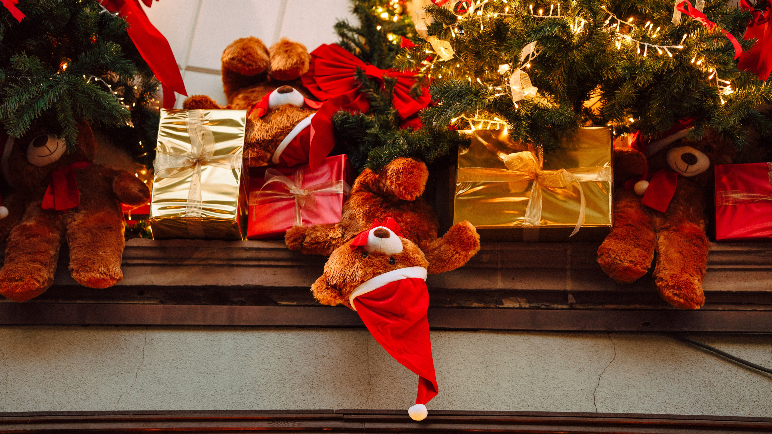 Strasbourg - Dec. 2025