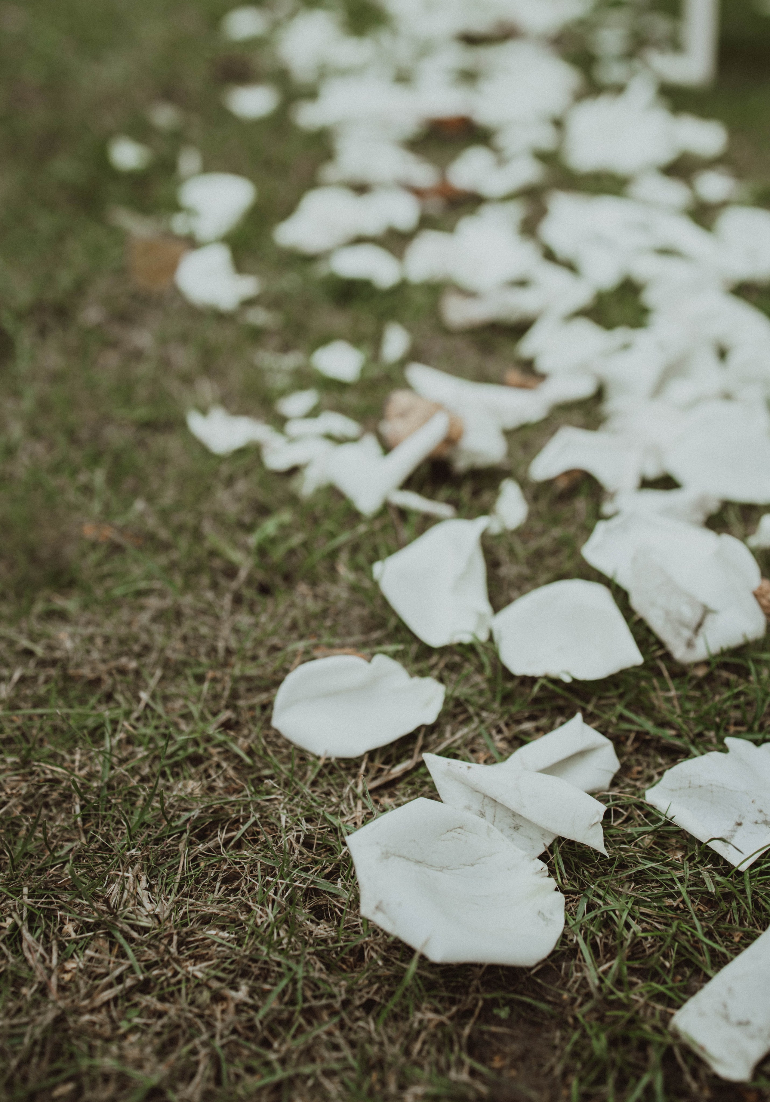 JULIA DAWID. Fotograf Mykhalchuk Inna Kraków