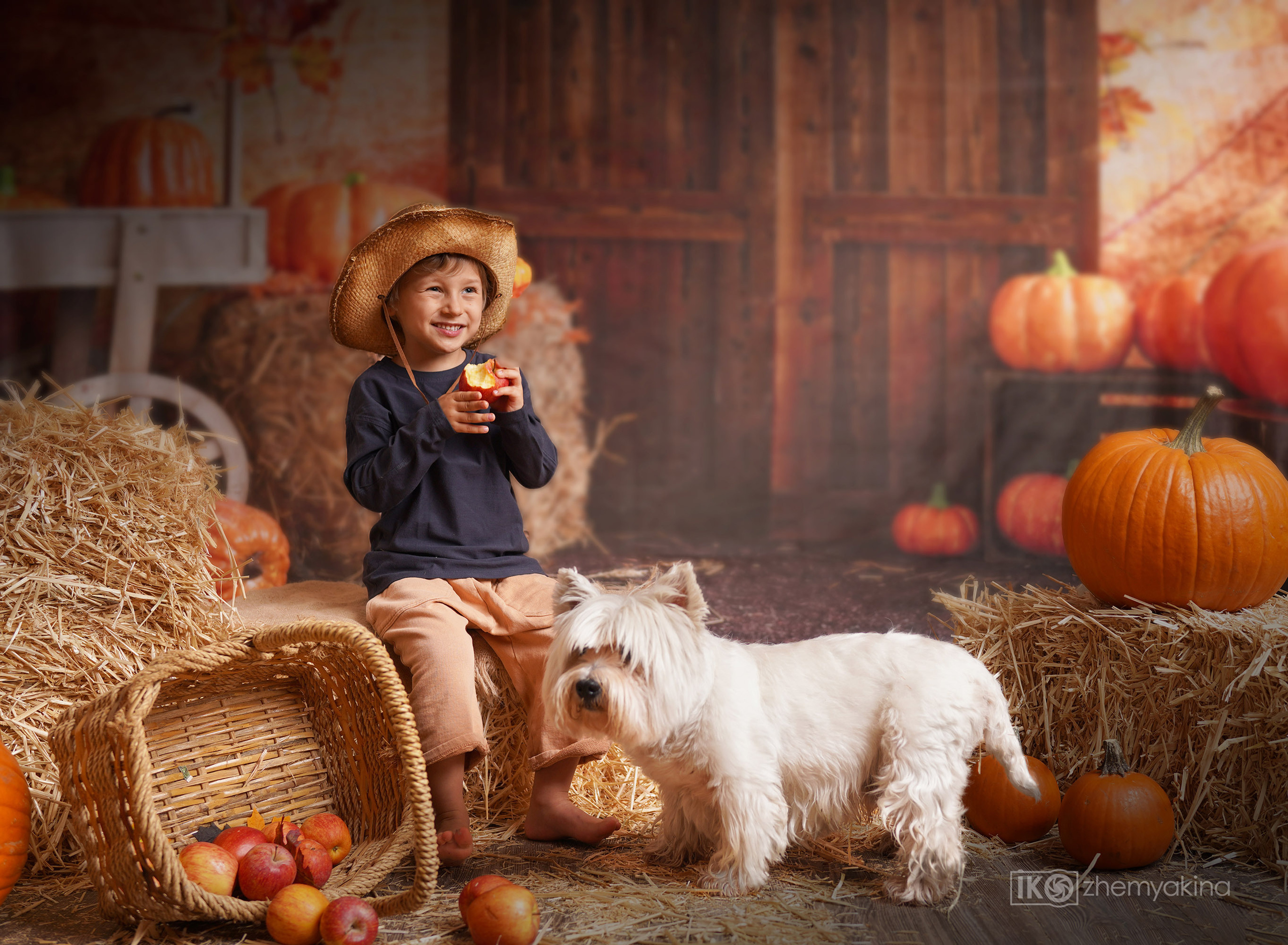 Halloween. Photographer Irina Kozhemyakina. Houston