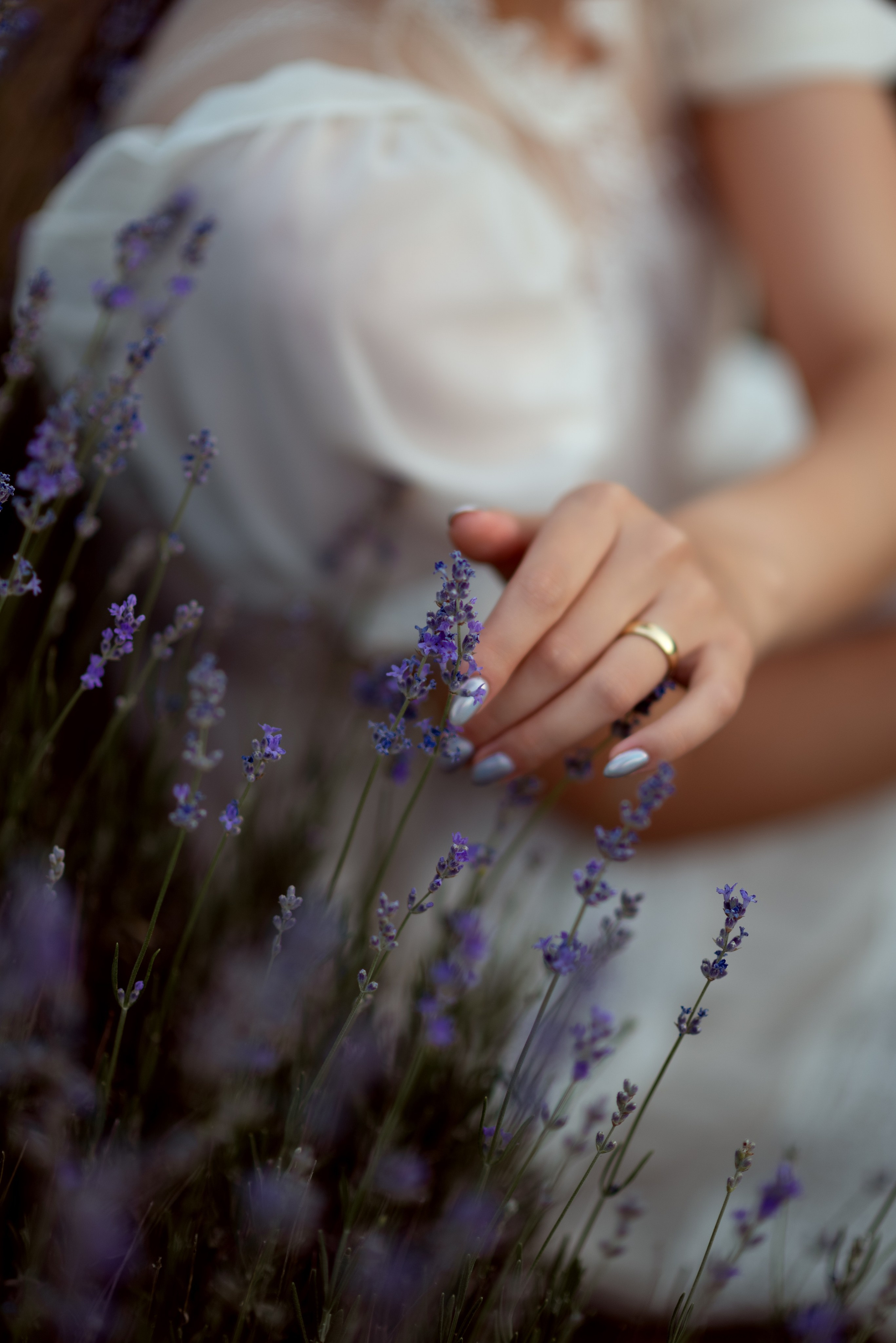 Лавандовое поле в Анталии. Фотограф Анталия, Кемер, Белек, Сиде Дарья Кая