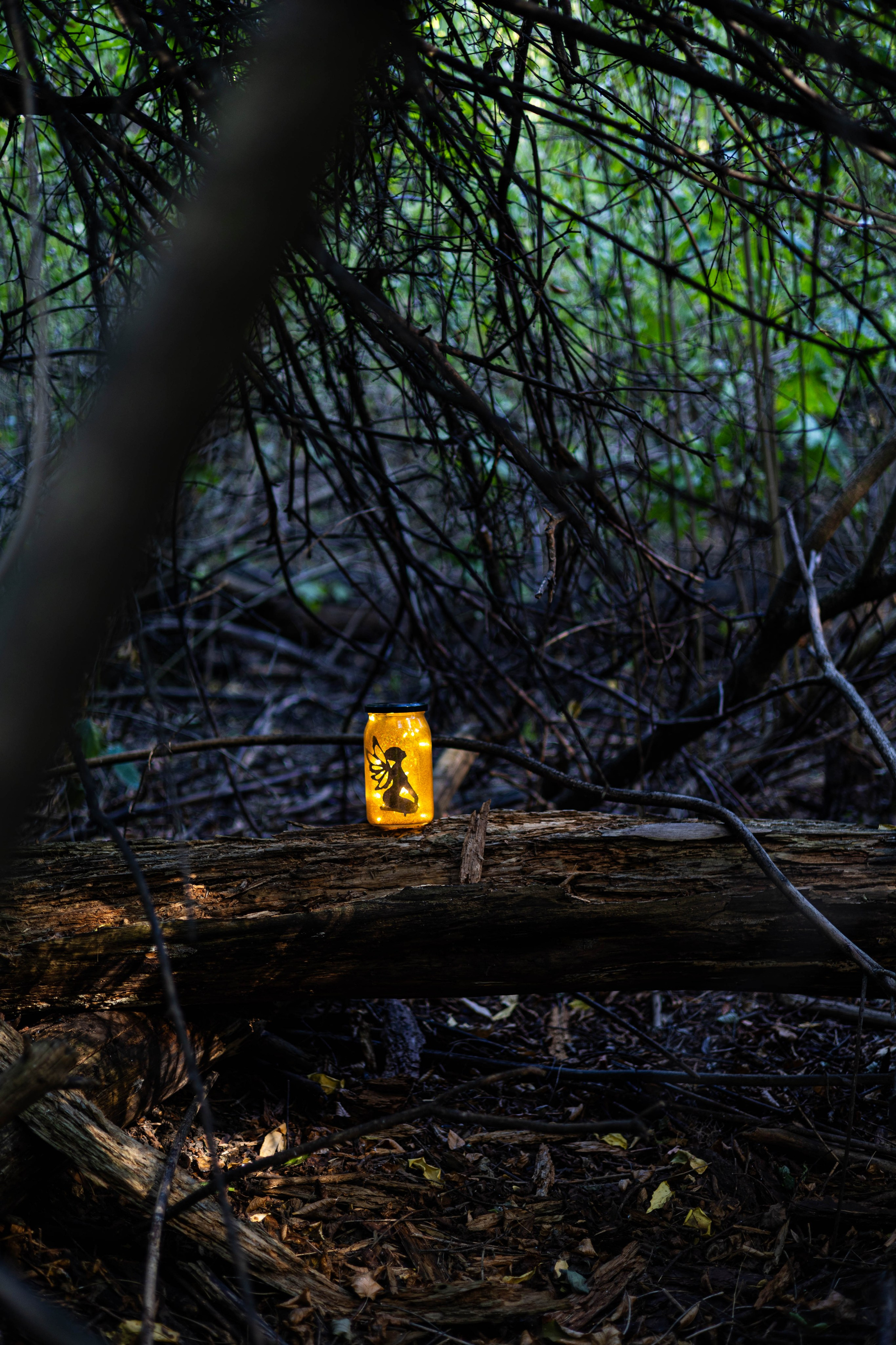 Сказочная тематика на фотосессии в Кишиневе.