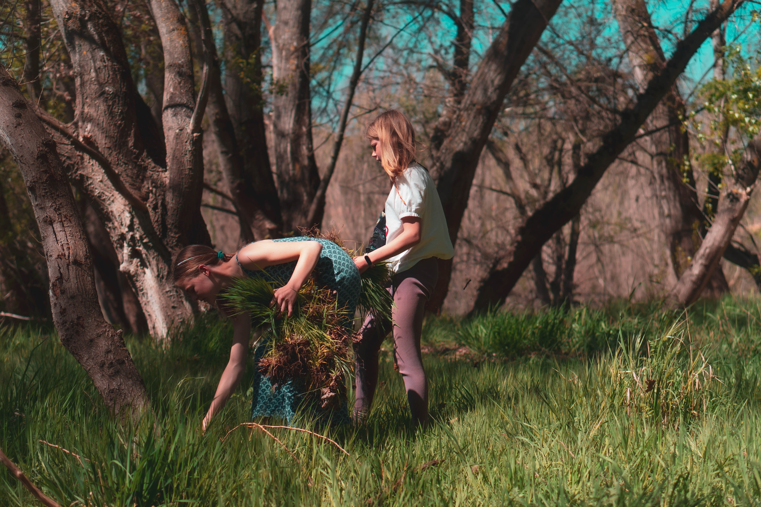 Noa&Agnia. Alba del Norte Studio