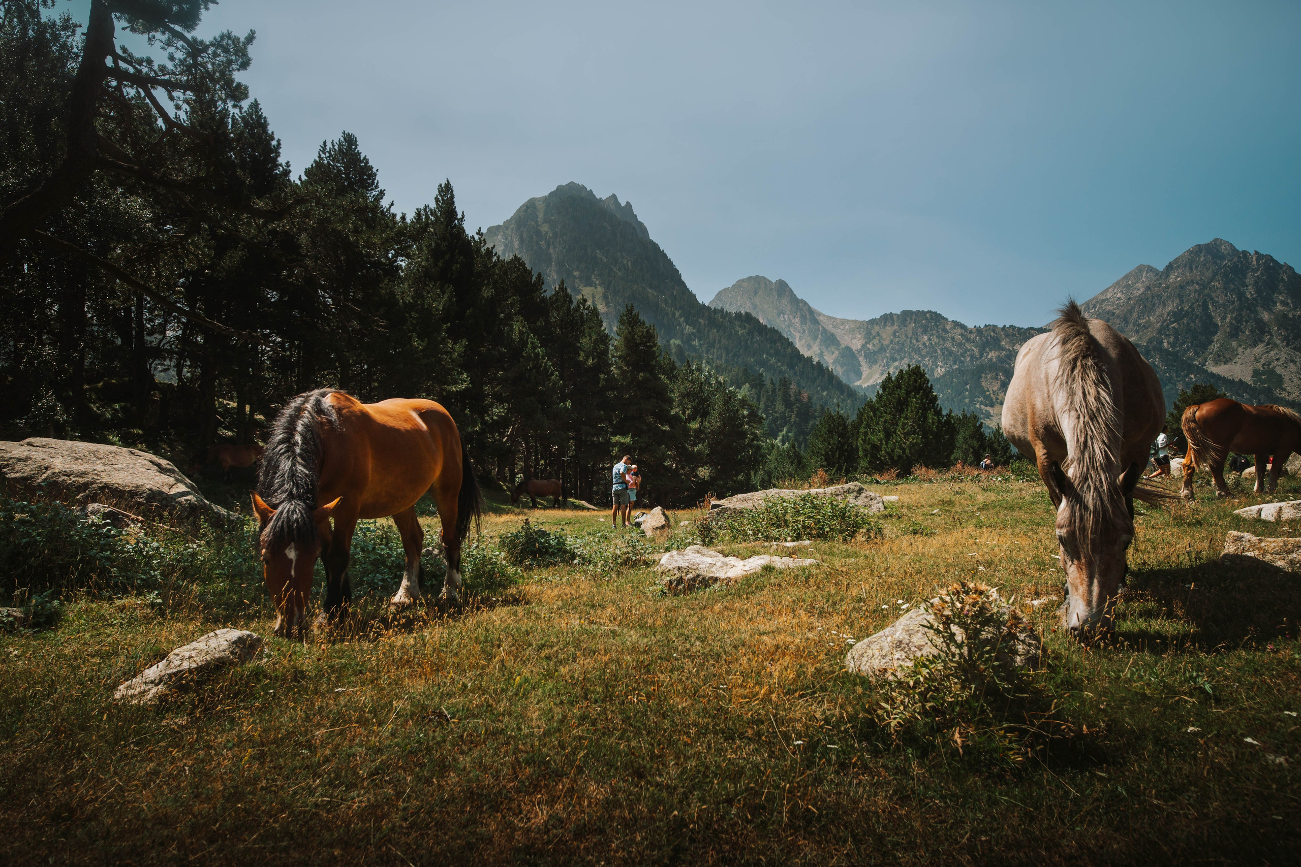 Parque Nacional de Aigüestortes y Estany de Sant Maurici. Alba del Norte Studio