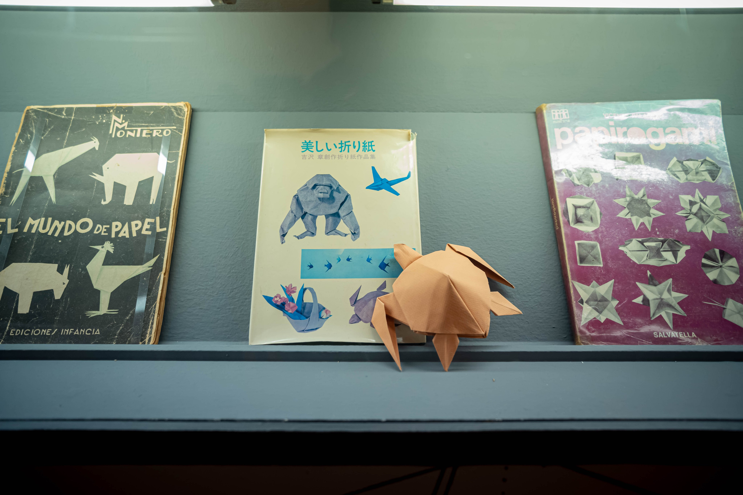 Museo de origami, Zaragoza. Alba del Norte Studio