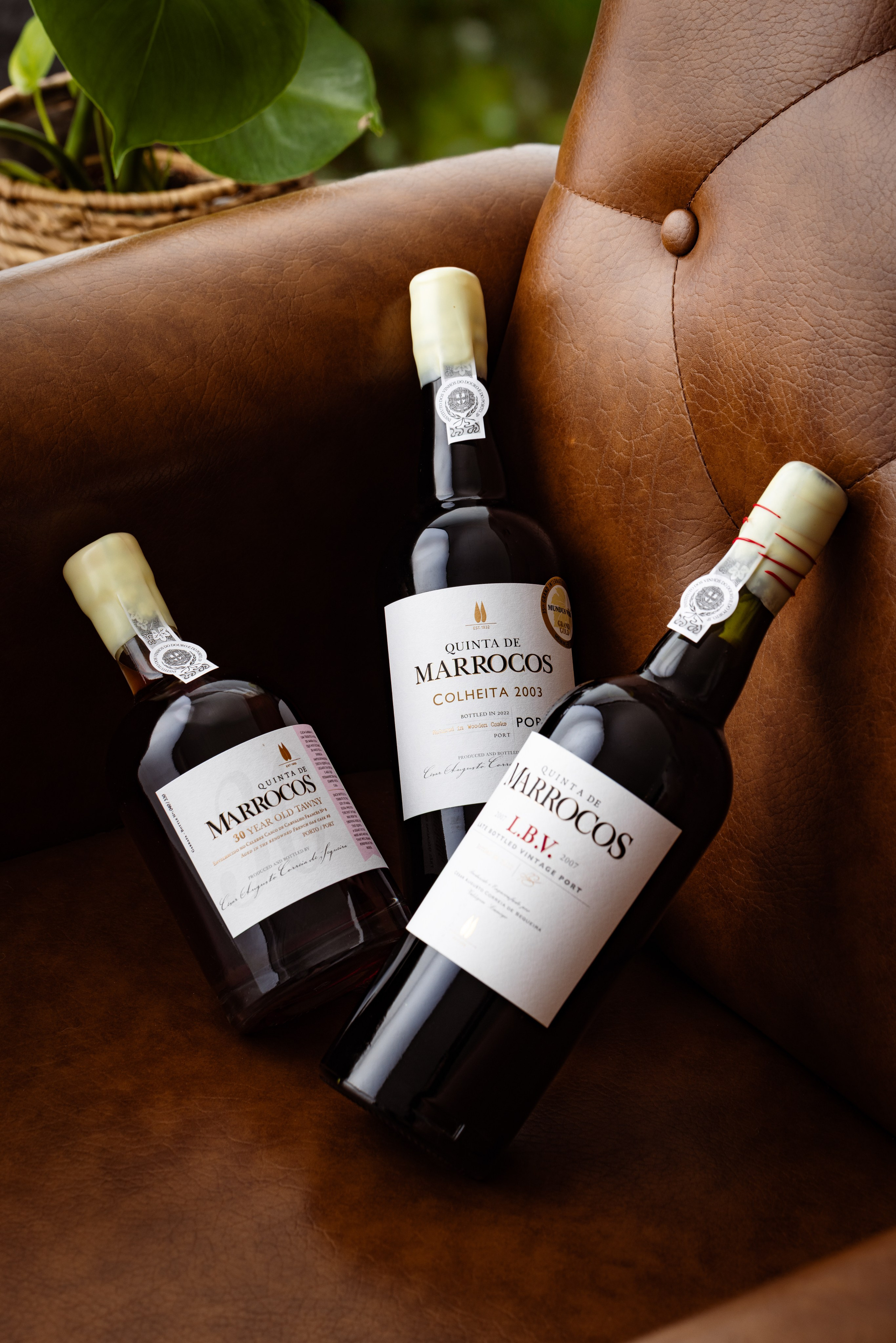 PRODUTO. ESTUDIO DOZE