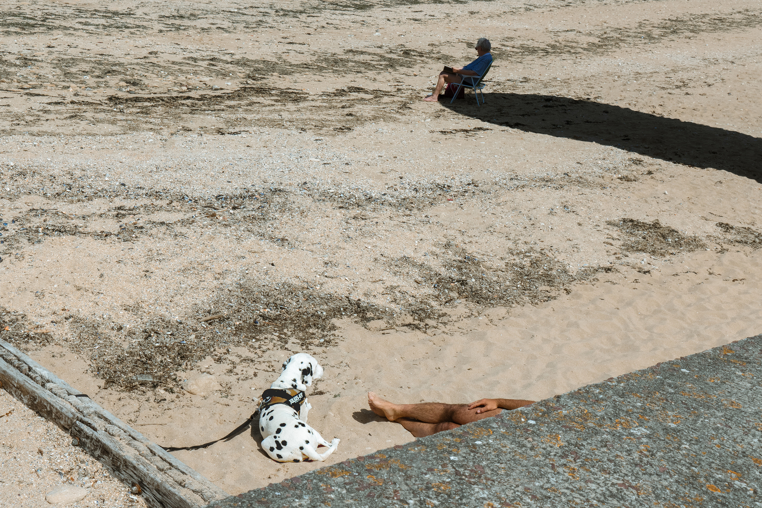 ARCHIVE. Irène Shkoda