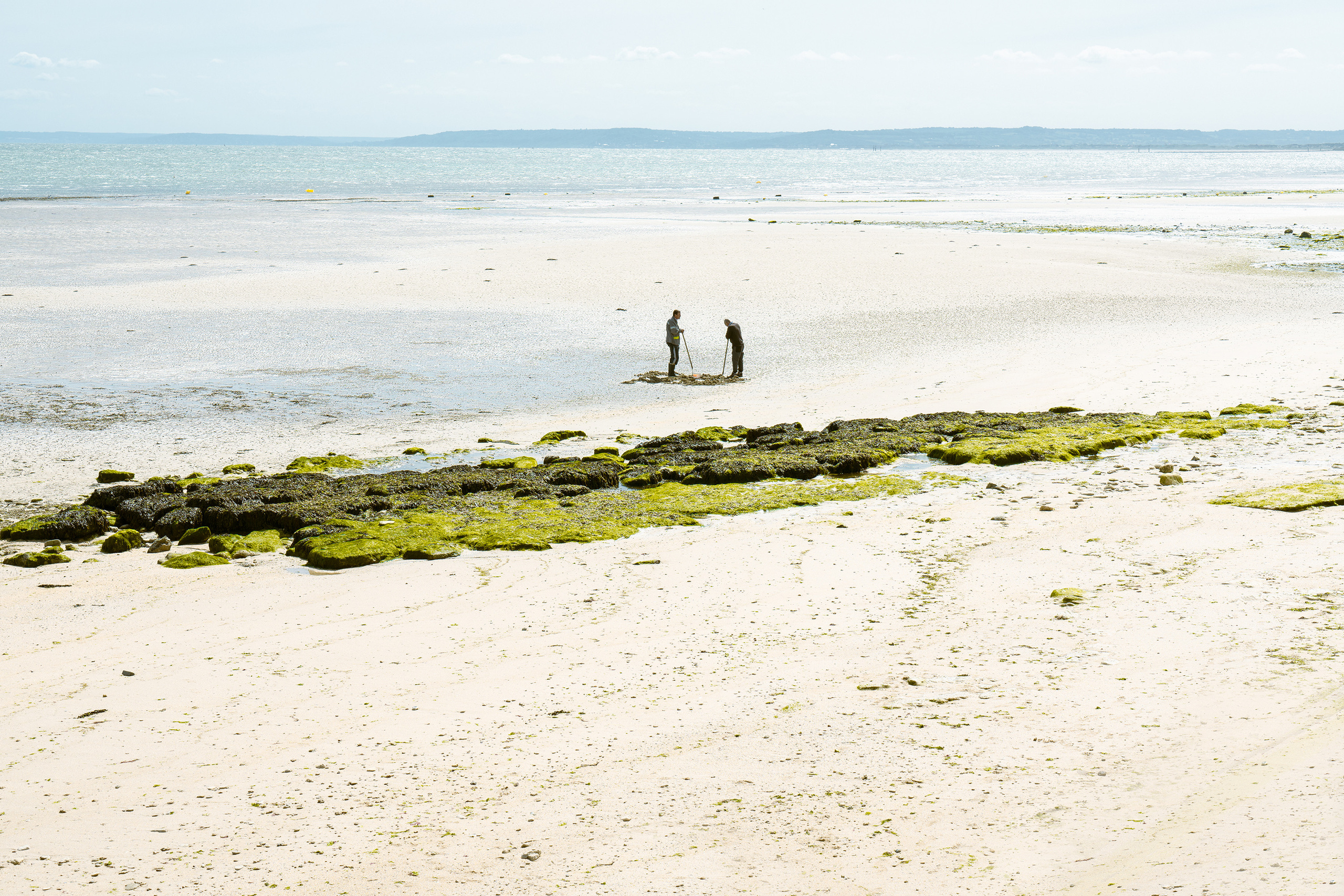 ARCHIVE. Irène Shkoda