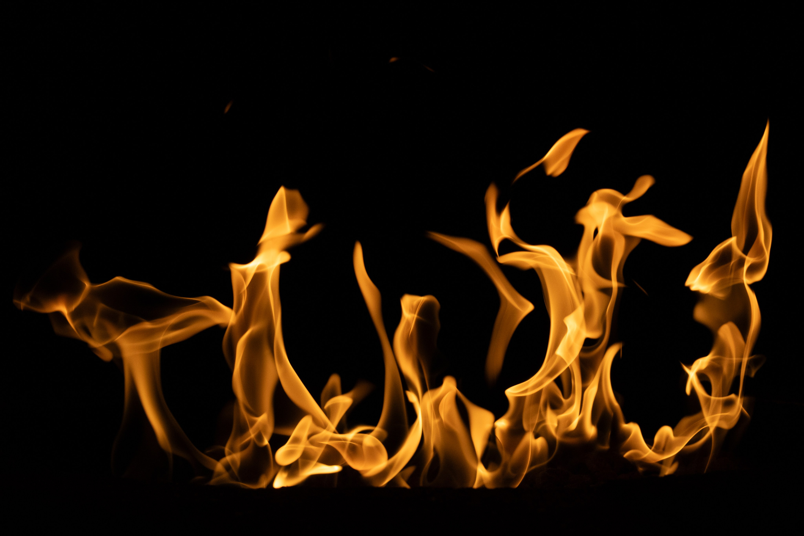 VATRA. Reportage concert portrait photography in the San Francisco Bay Area