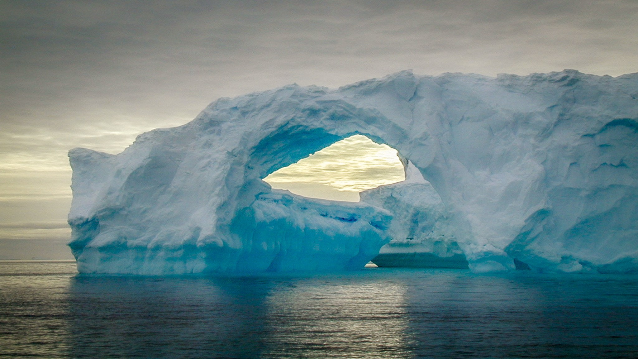 ANTARCTICA / 2004. Reportage concert portrait photography in the San Francisco Bay Area