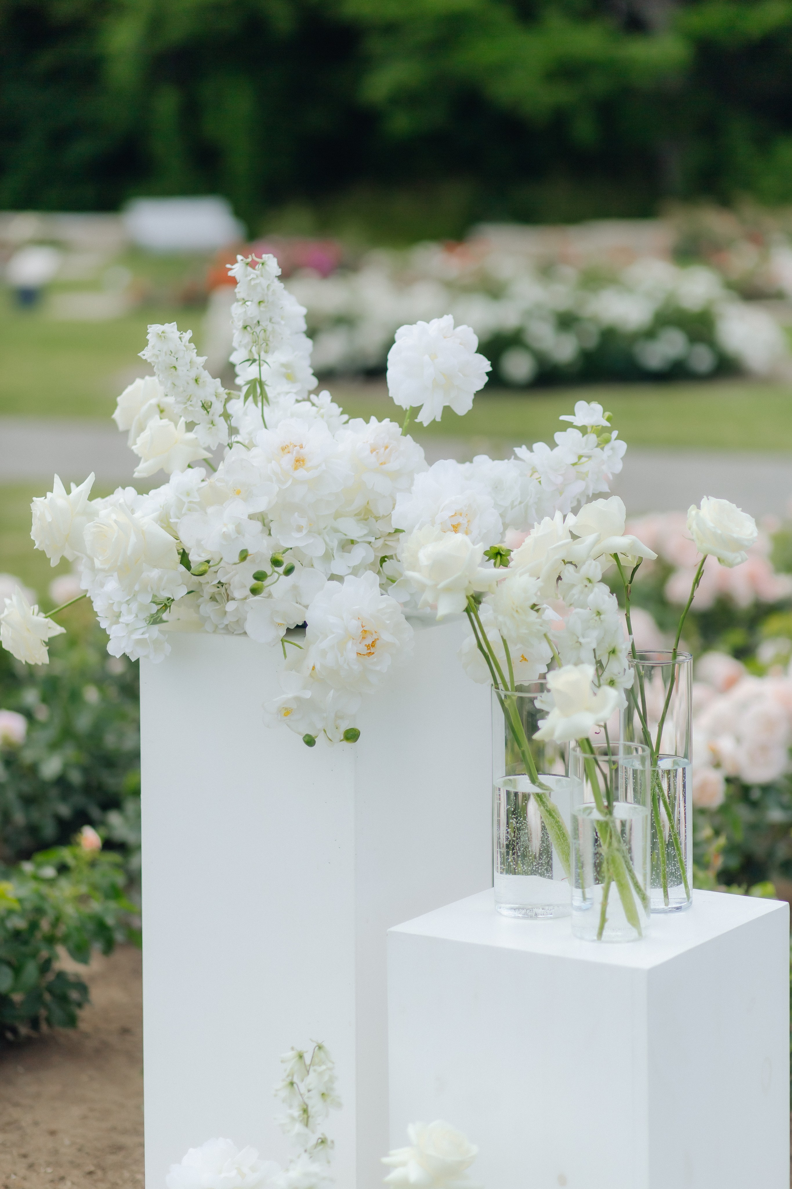 Karina & Jan. Alina Vok — Wedding Photographer in Estonia & Europe