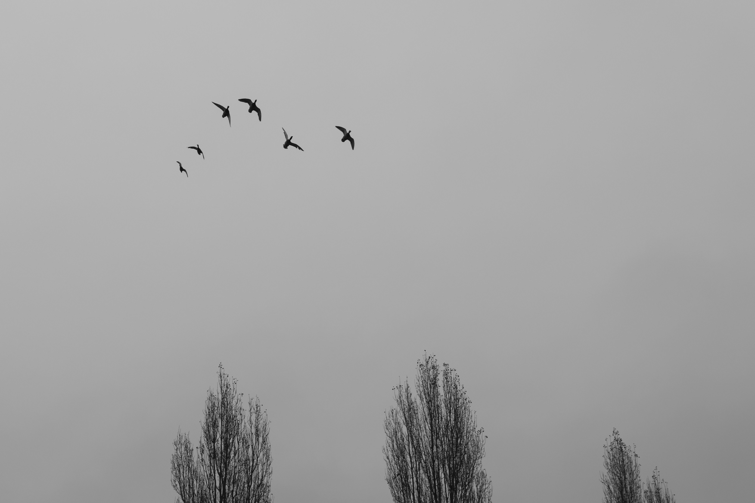 Paysages. Portrais créatifs de familles et individuels, Ile et Vilaine, France