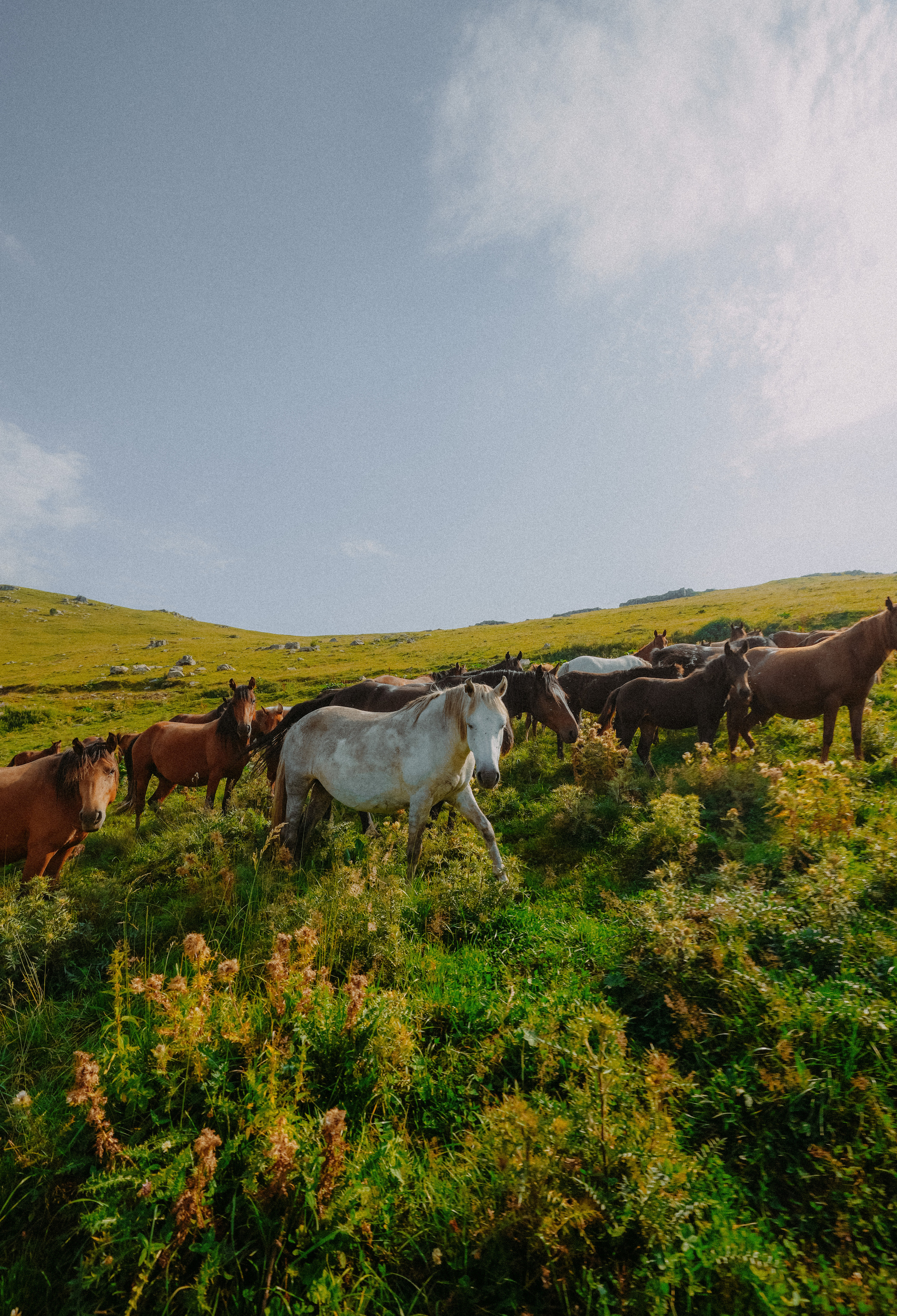 ЕРЕВАН. Стрит-фотография, полная абсурда, идиотизма и красоты