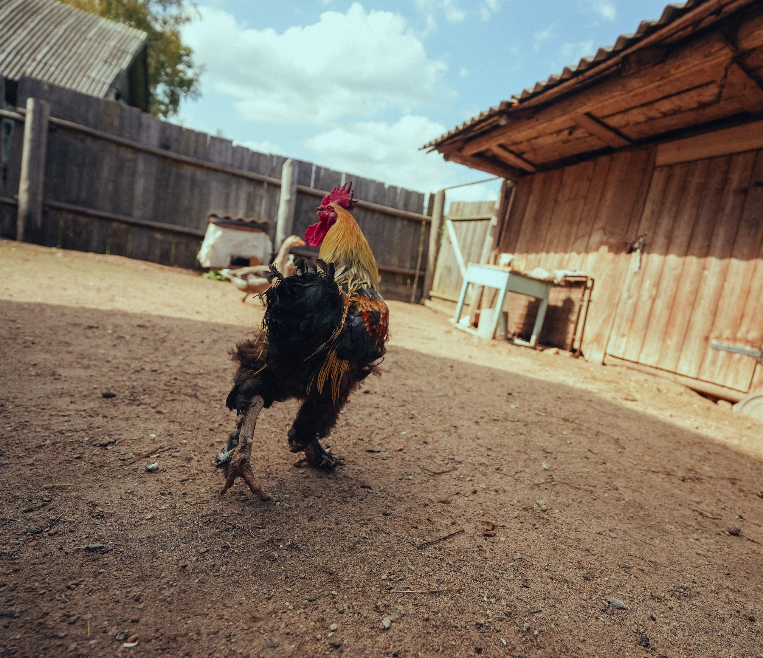 2023. Стрит-фотография, полная абсурда, идиотизма и красоты