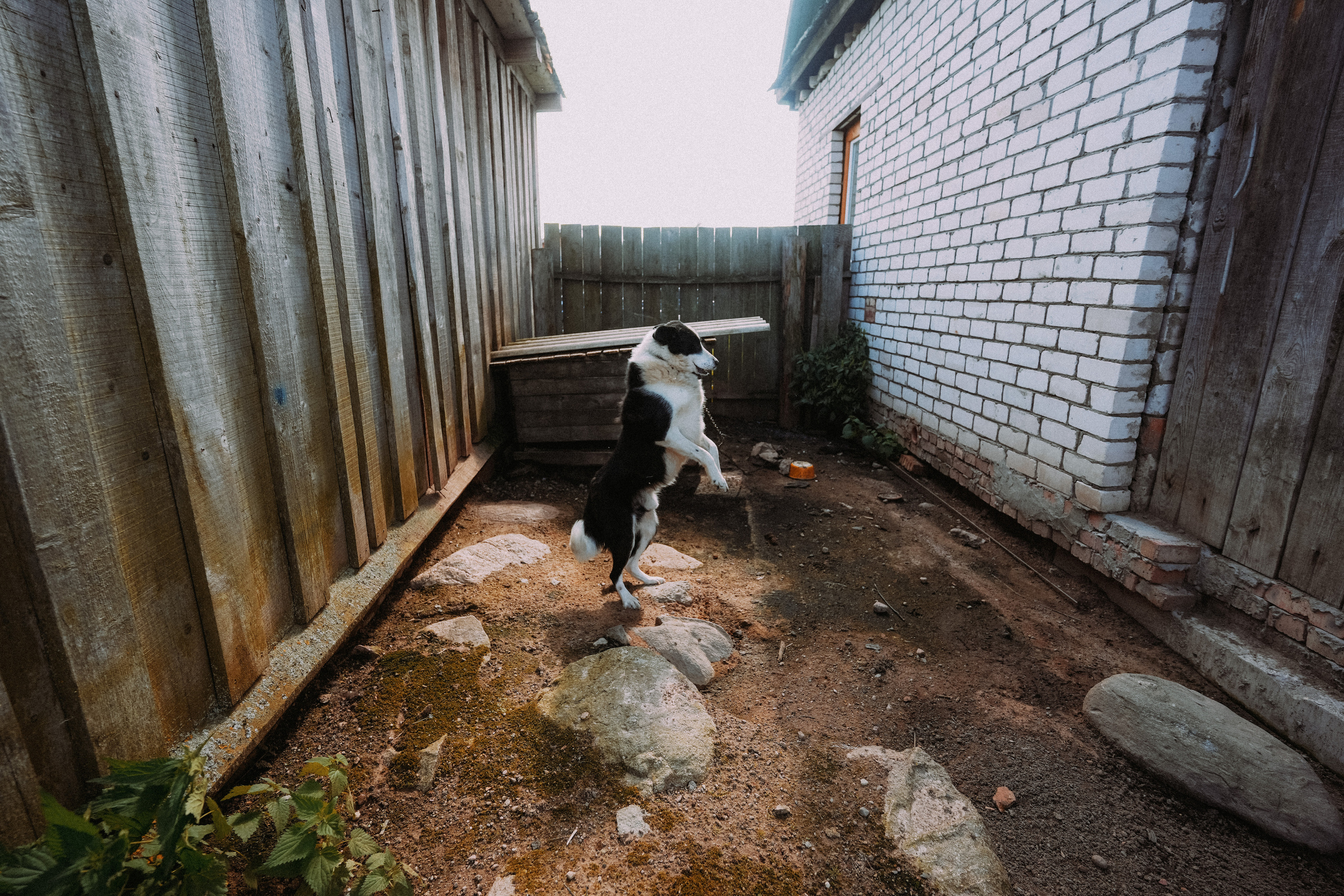 2023. Стрит-фотография, полная абсурда, идиотизма и красоты