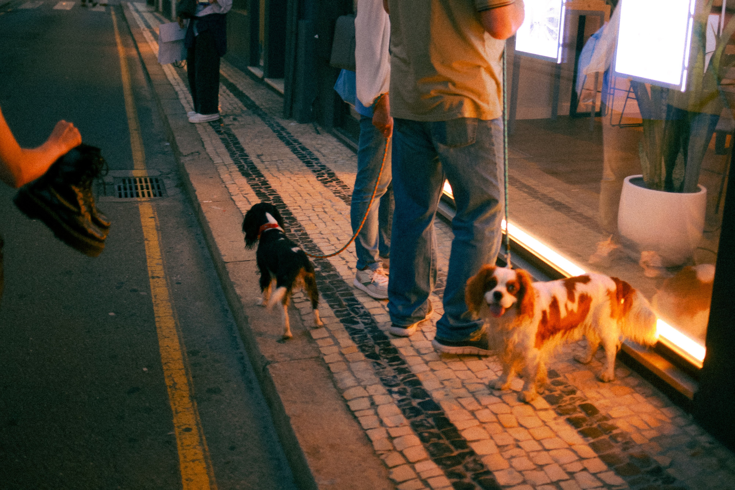 Detrás de escena: sesión de fotos en Porto. Marina Kálcheva – Photographer, Videographer & Visual Artist in Barcelona
