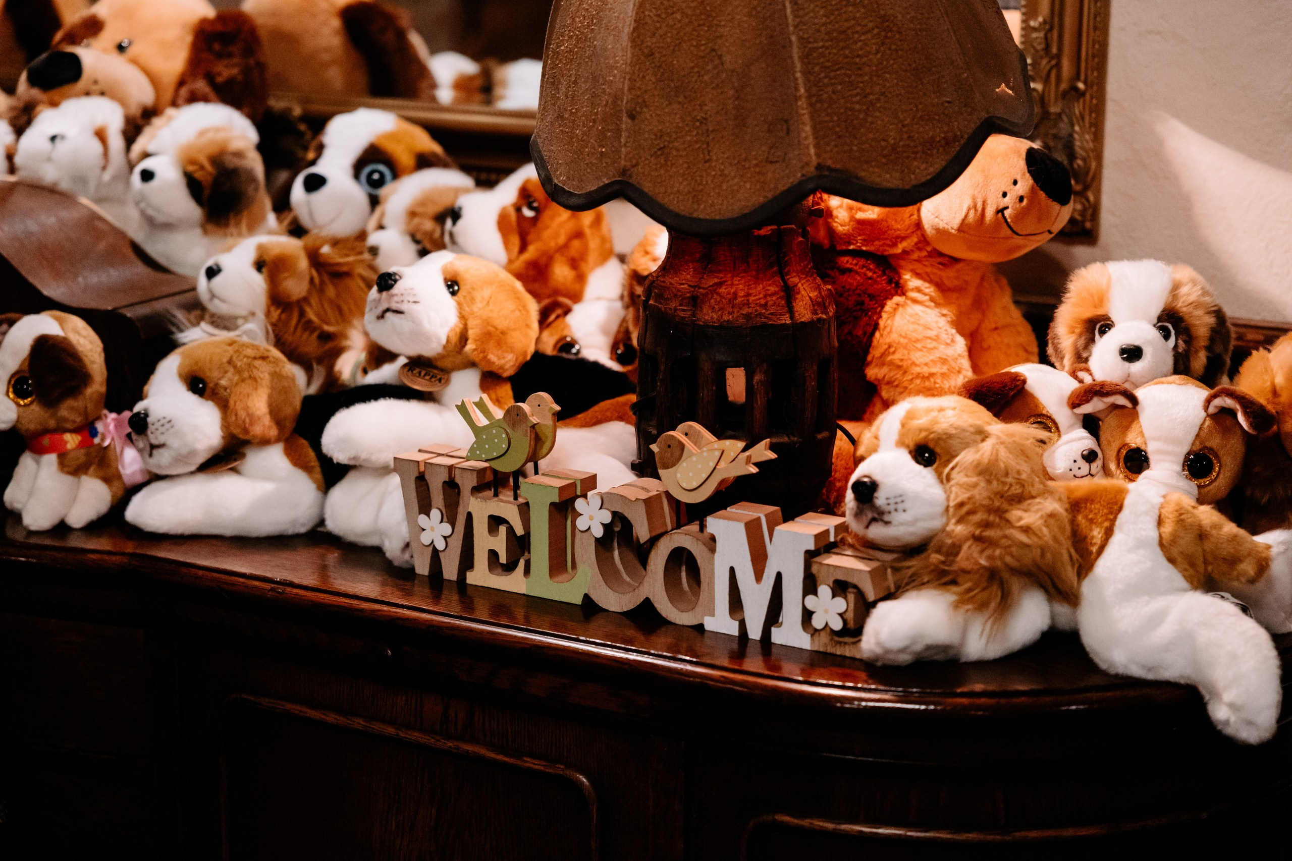 Wiki ♡ Przemek. Fotograf Ślubny Warszawa - Sesje Biznesowe Rodzinne Eventy