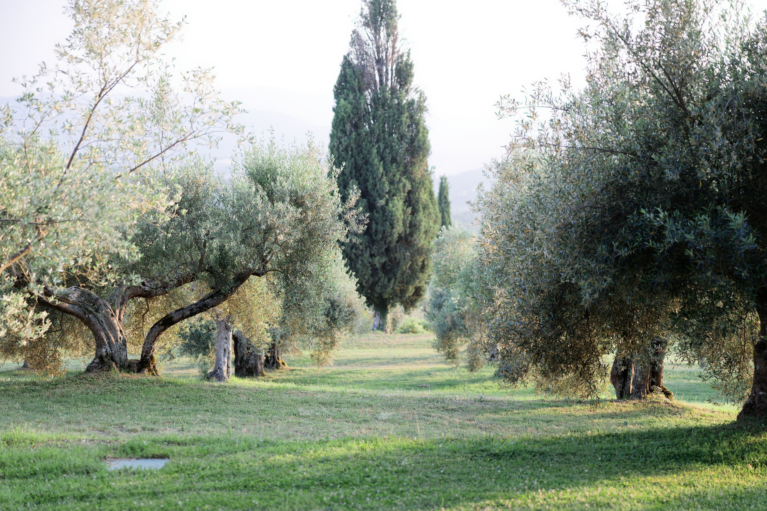 Wedding at Borgo Bastia Creti, Umbria