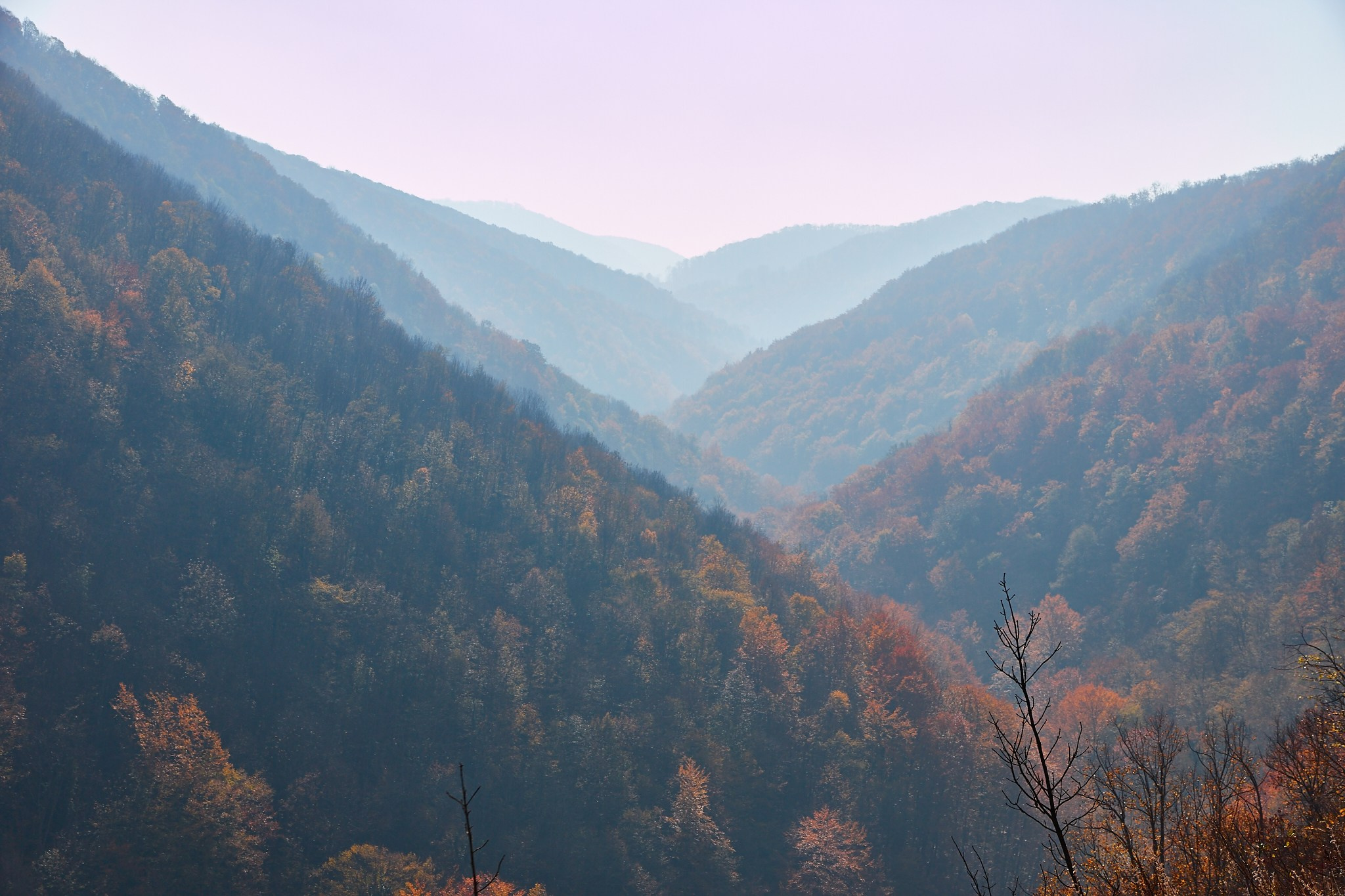 Toamna pe calea ferată Oravița-Anina, jud. Caraș-Severin. Pagina principală