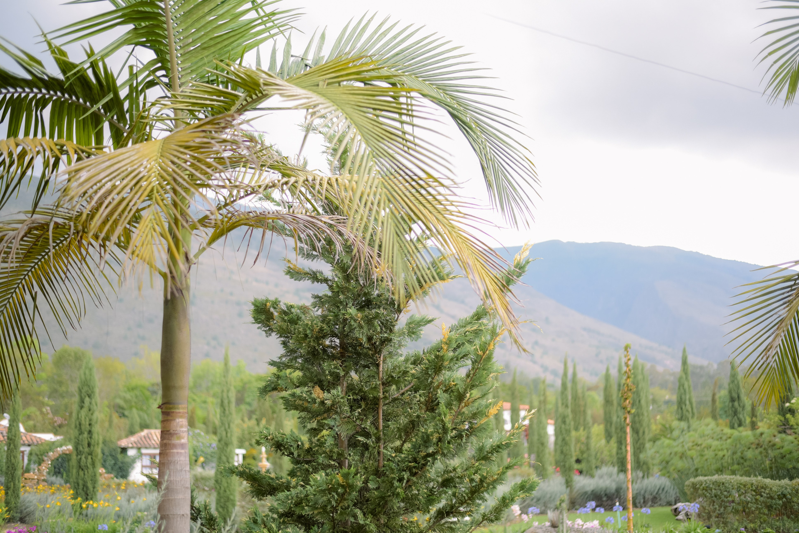 Fotografía y video de bodas en villa de Leyva - Colombia. Rafael Melo Weddings