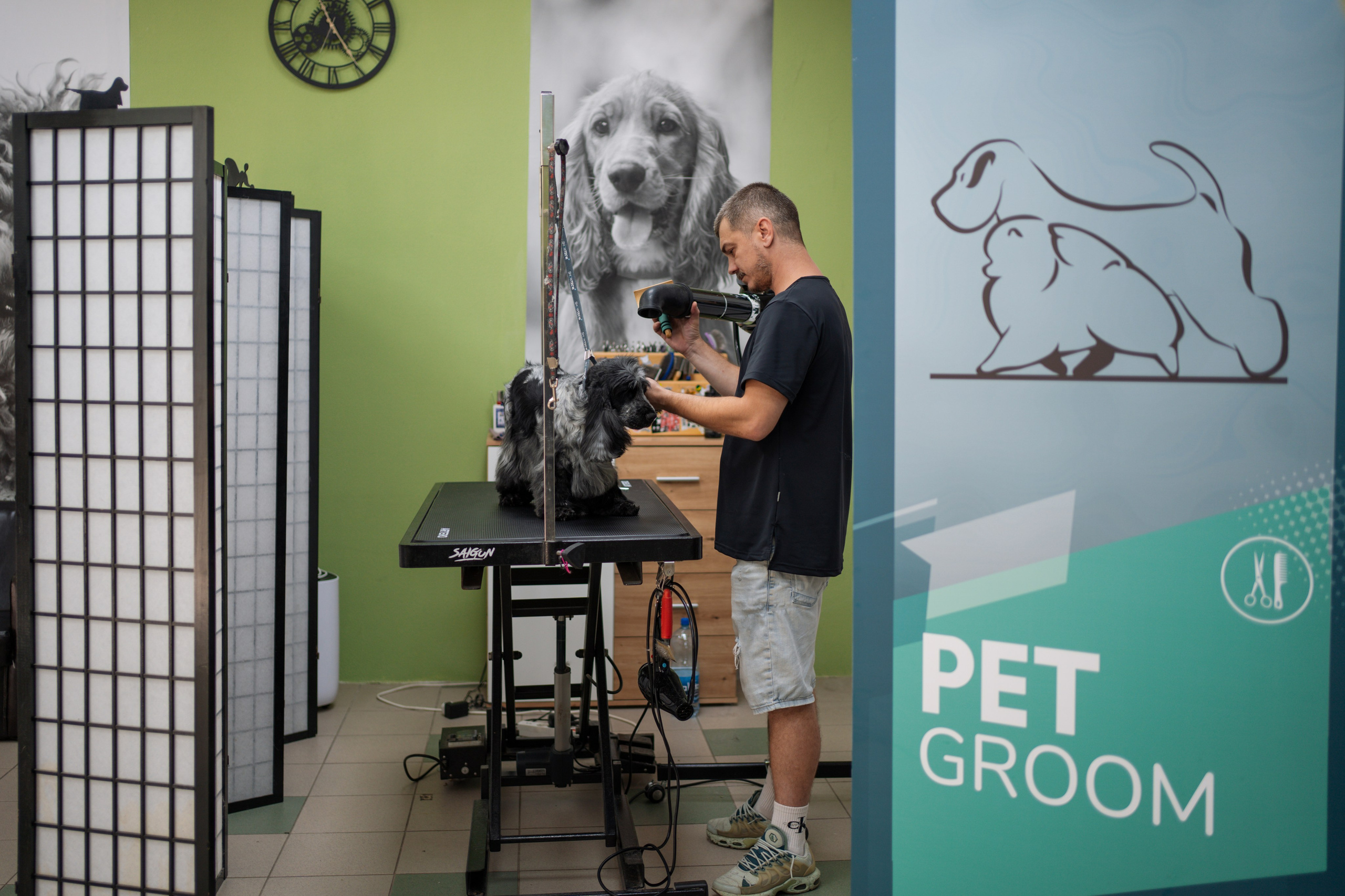 PetGroom Timisoara. Cozac Cristian Photographer