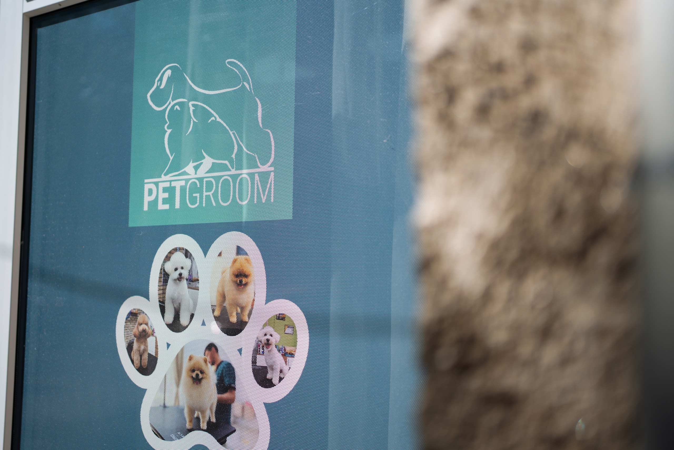 PetGroom Timisoara. Cozac Cristian Photographer