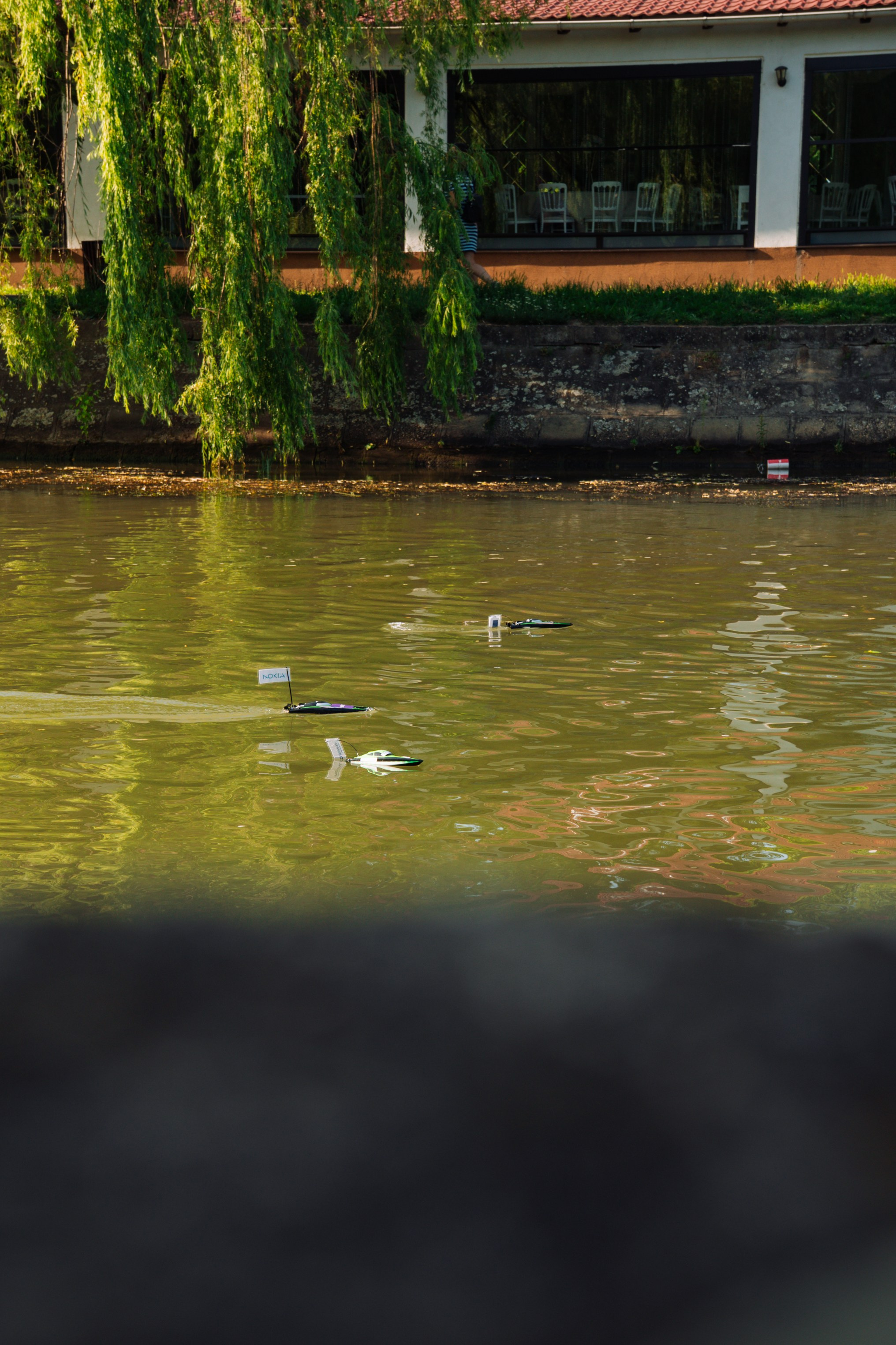 06.04 Bega Boat Race. Cozac Cristian Photographer