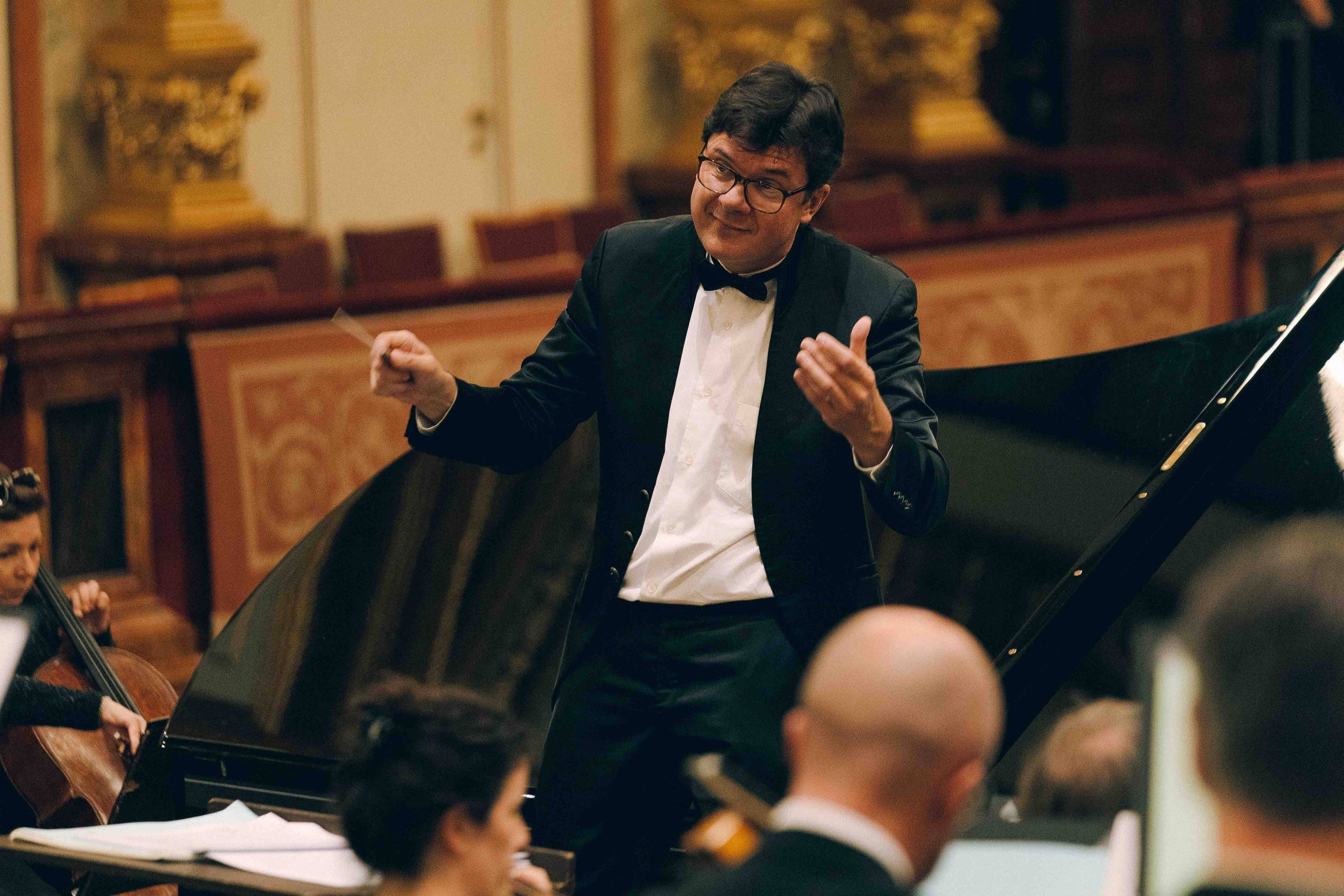 MUSIKVEREIN (VIENNA). Wedding&Event photographer Ismail Rzayev in Baku