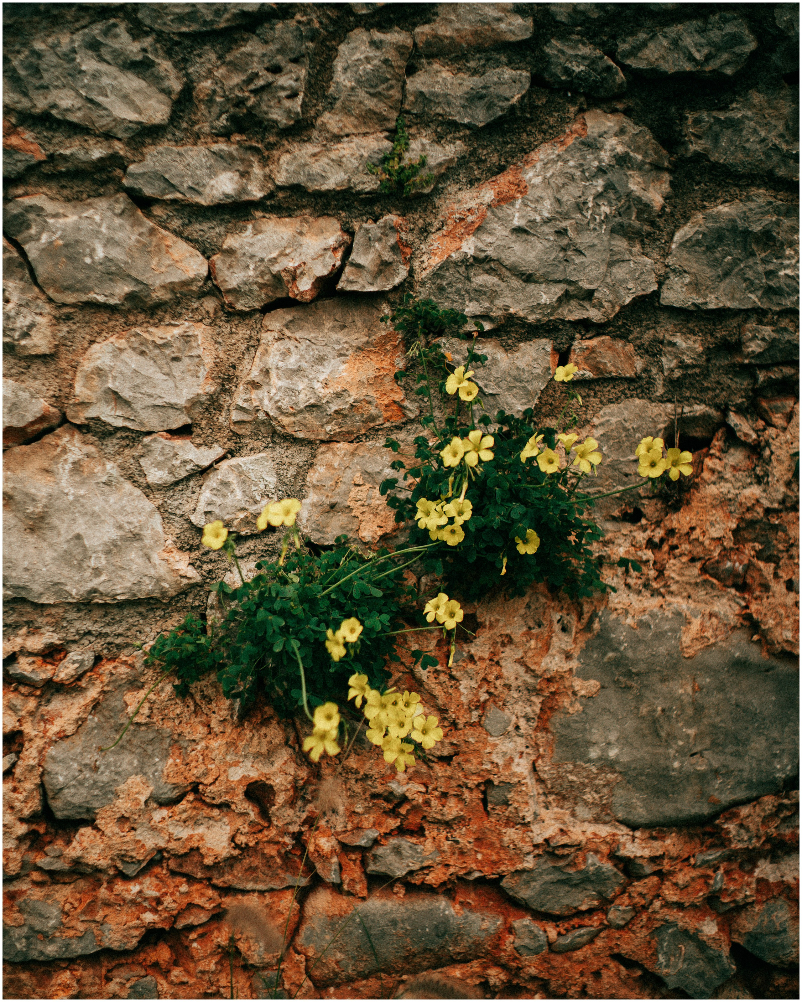 PALERMO. Photographer Inna Mendelson