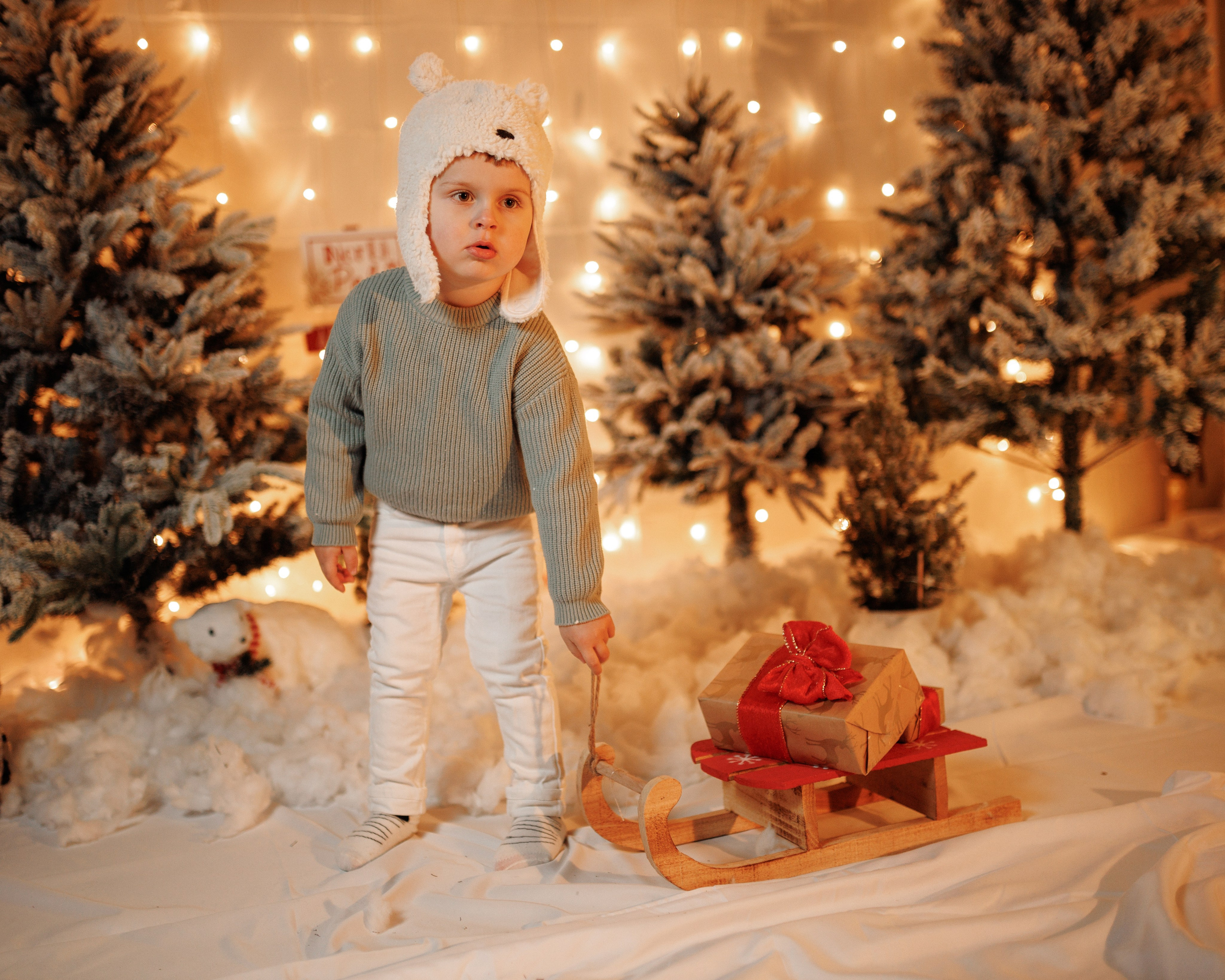 Christmas Time. Https://valeriubriciuc.com/