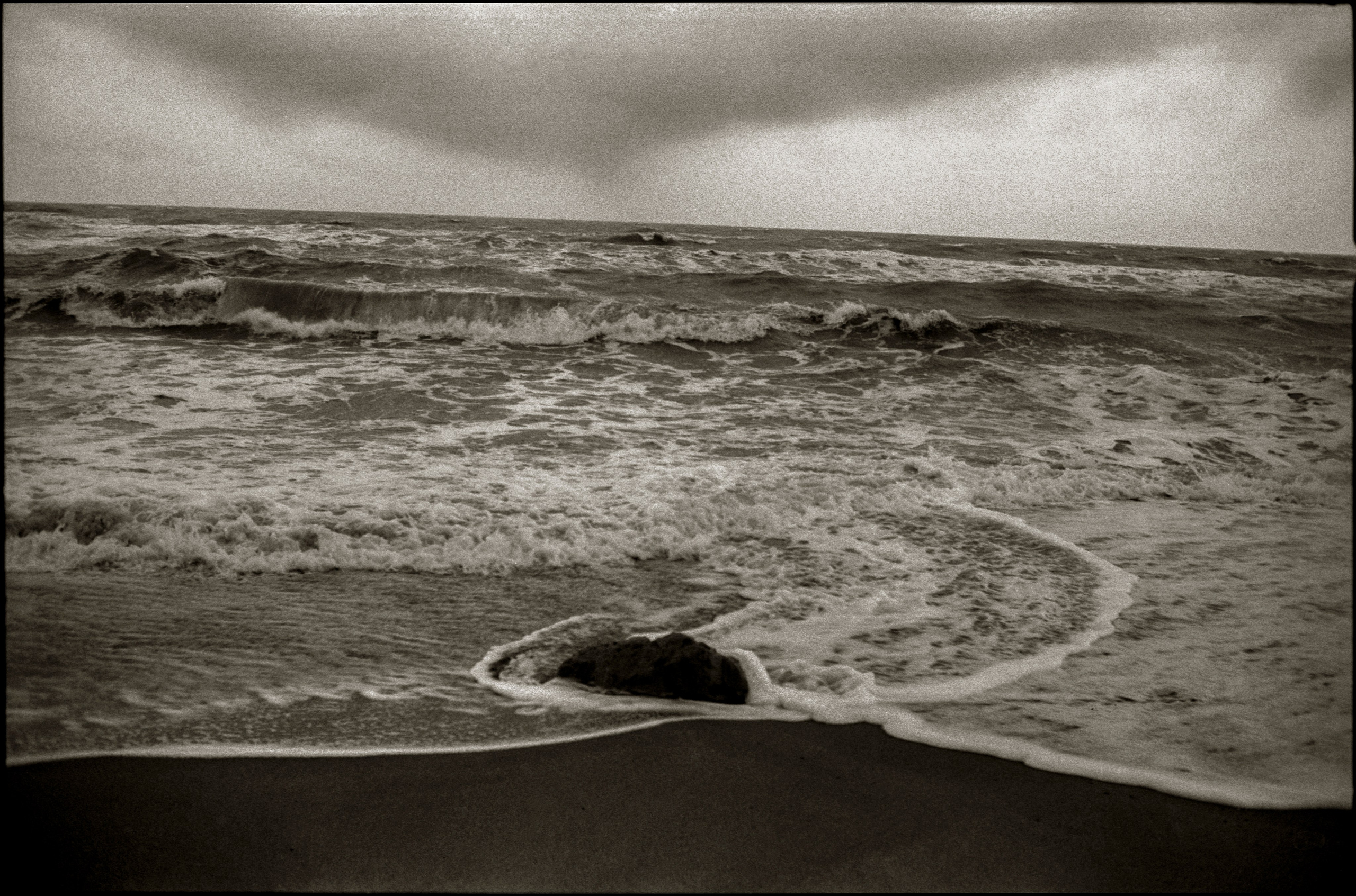 NATURE. Www.sananaleskerov.com