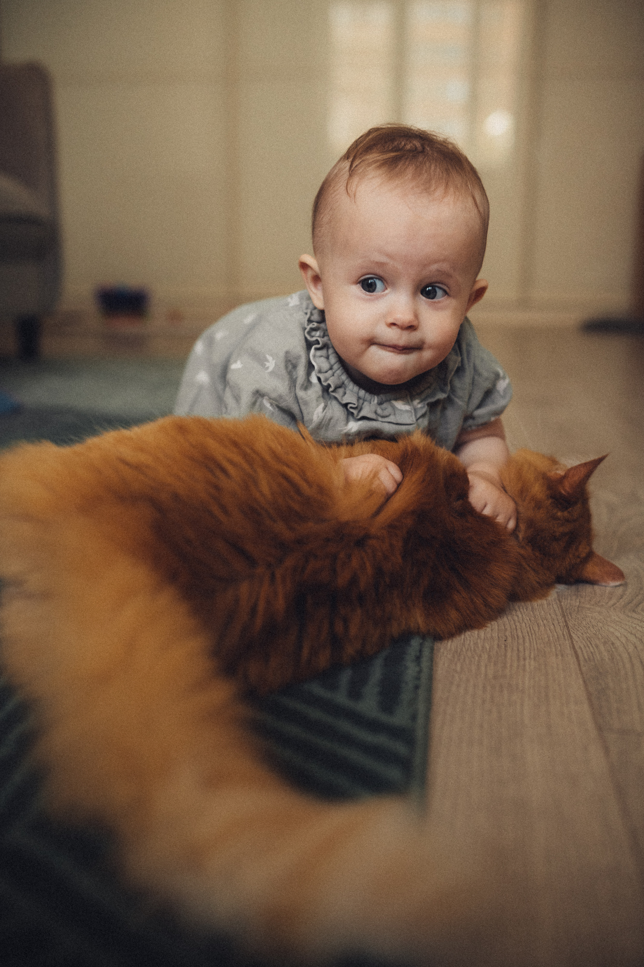 First birthday baby photoshoot at home. Wedding & Family photographer in County Donegal and Dublin, Ireland