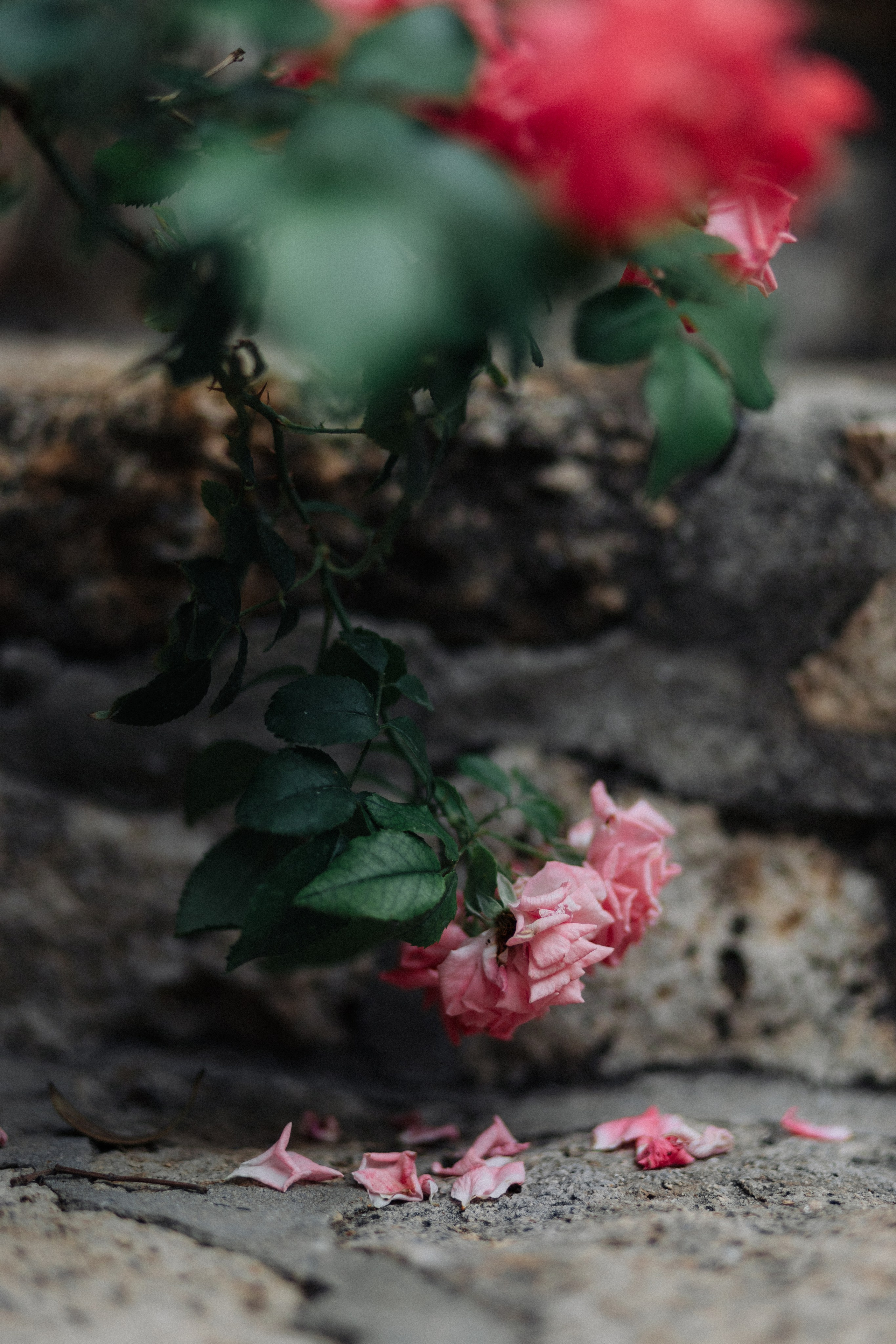 . Фотопрогулки в Стамбуле