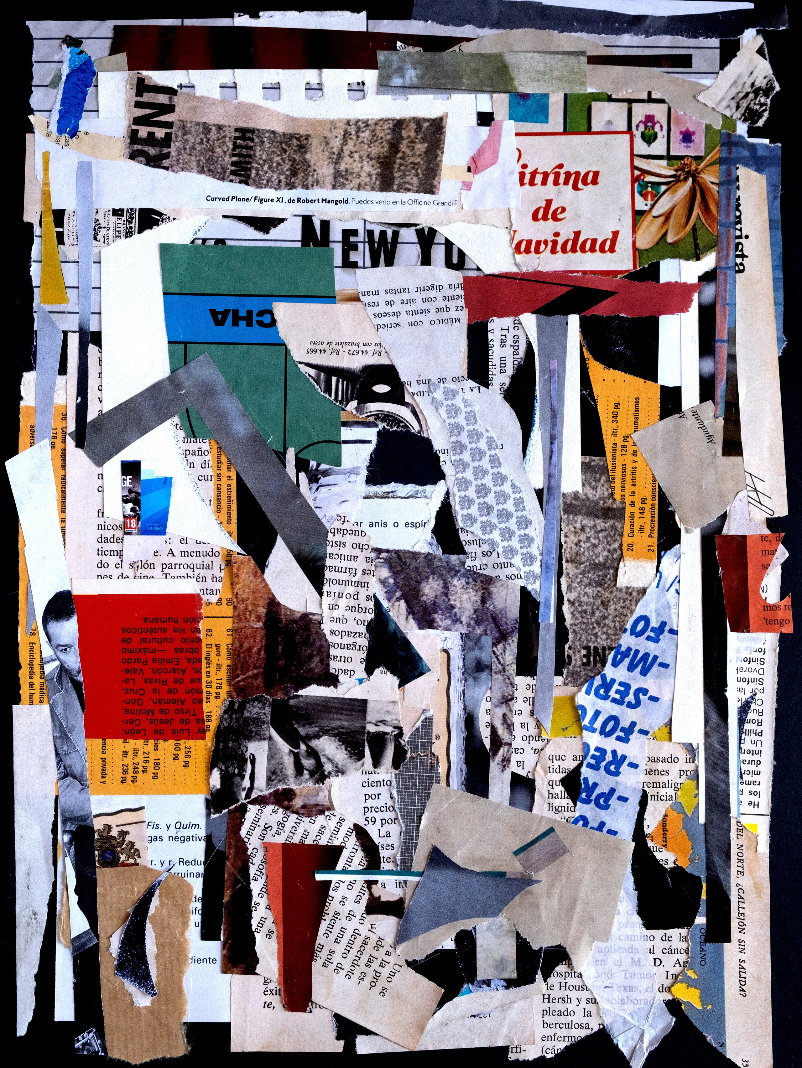 Рина Луковникова. Художник-коллажист