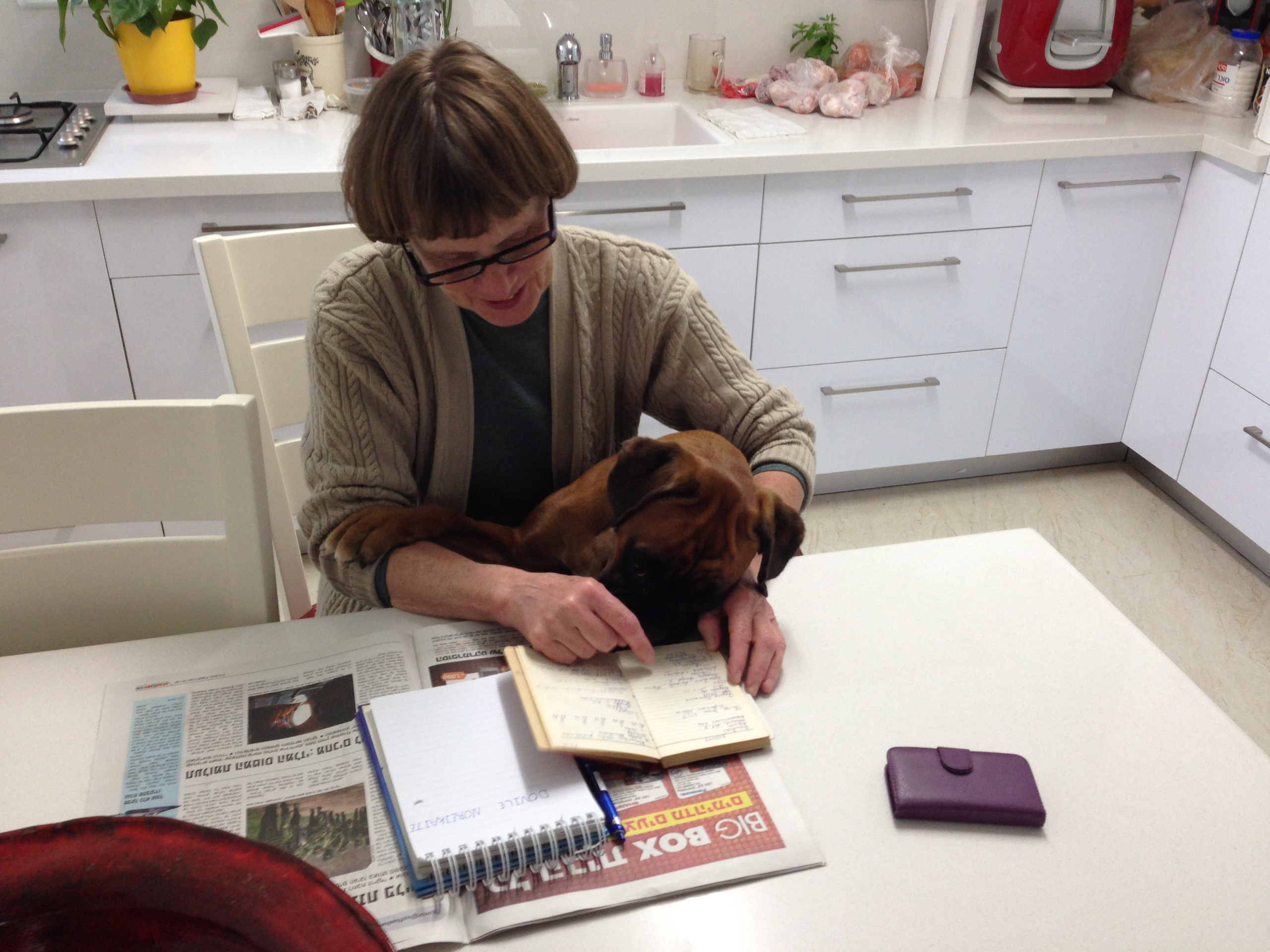 My ״Star״ Boxer Dog