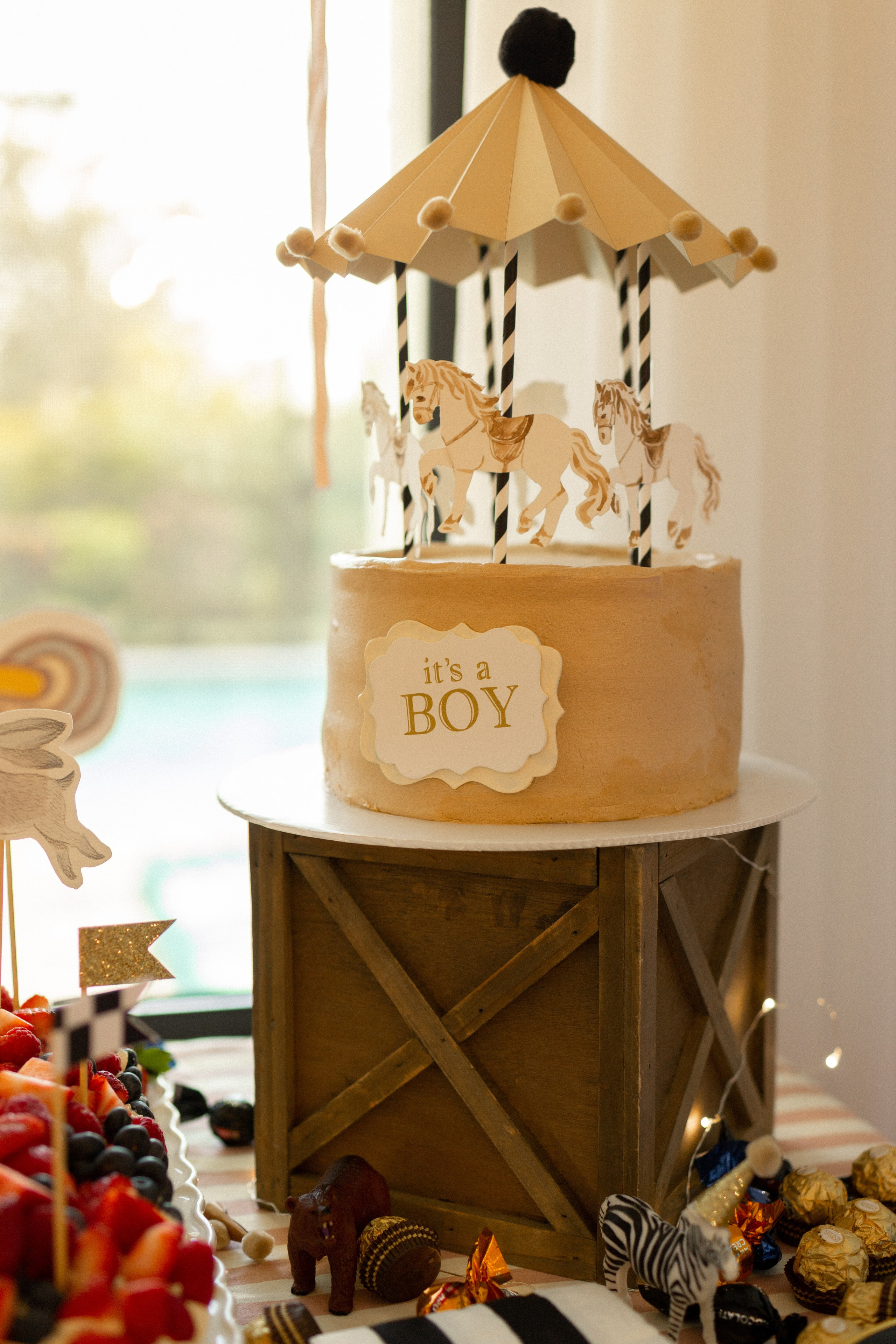 Asya Baby Shower. Photographer Vladmir Gladkov