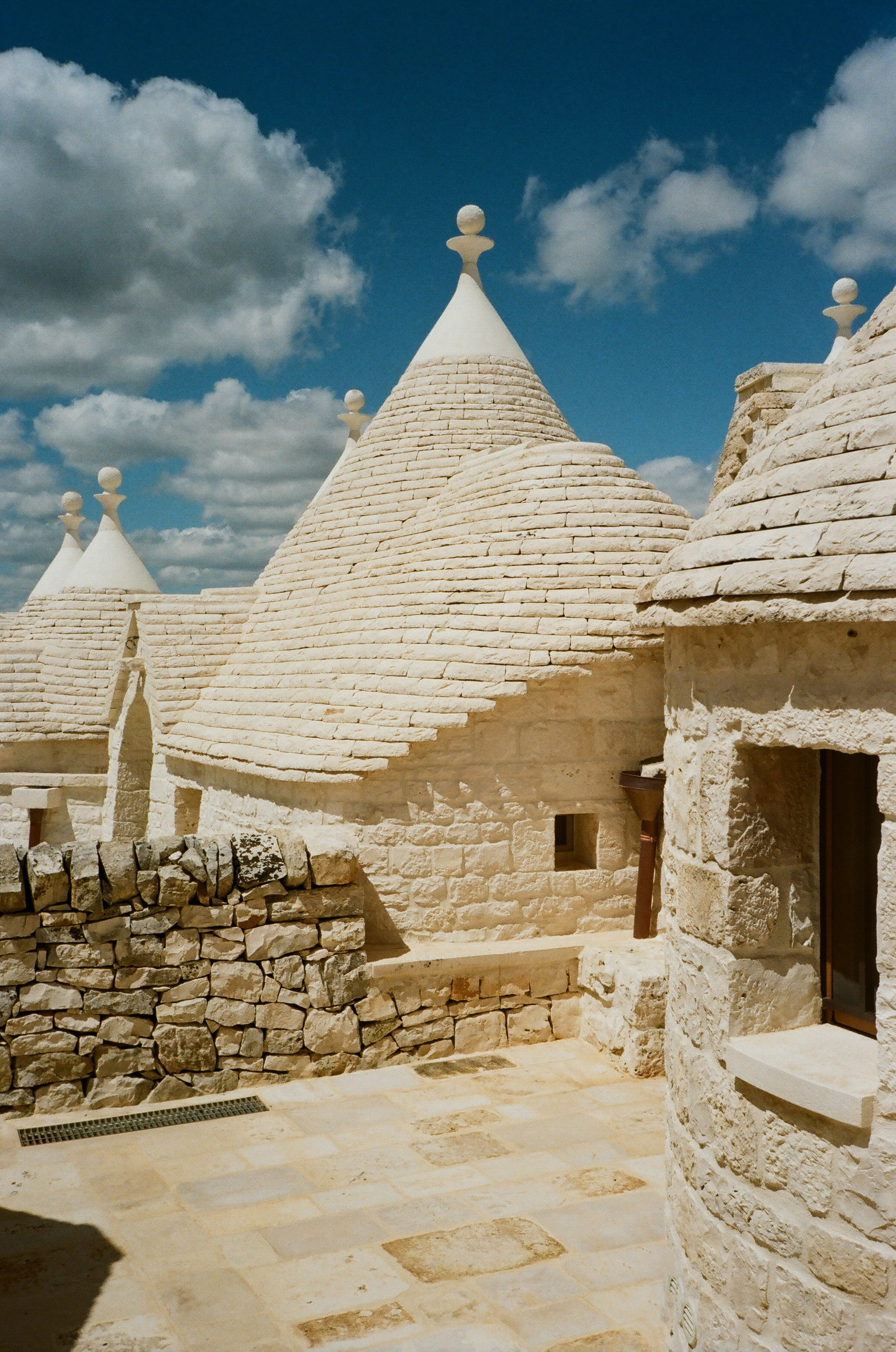 Stephanie & Christian film photos. Весільний фотограф Вікторія Саврук