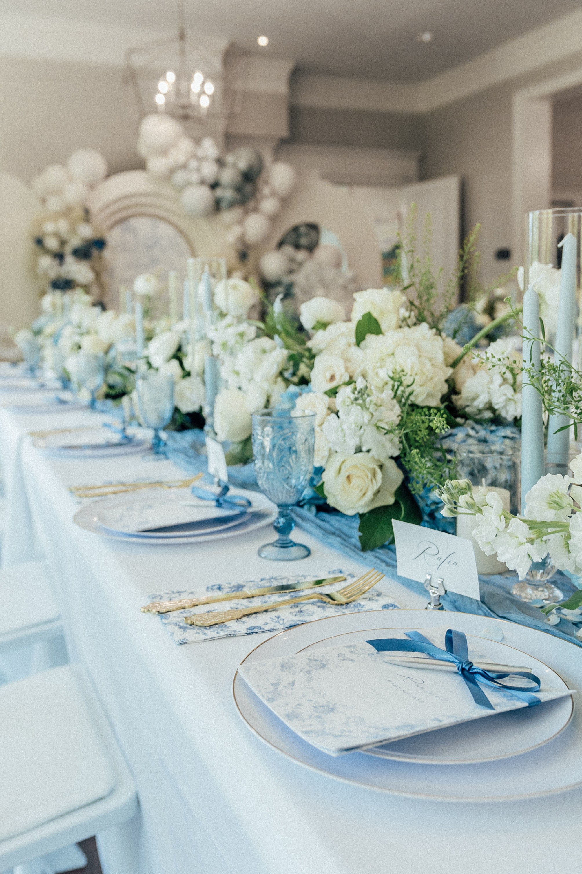 Rumsha’s Baby Shower. Sara Eulalia | Virginia Photographer